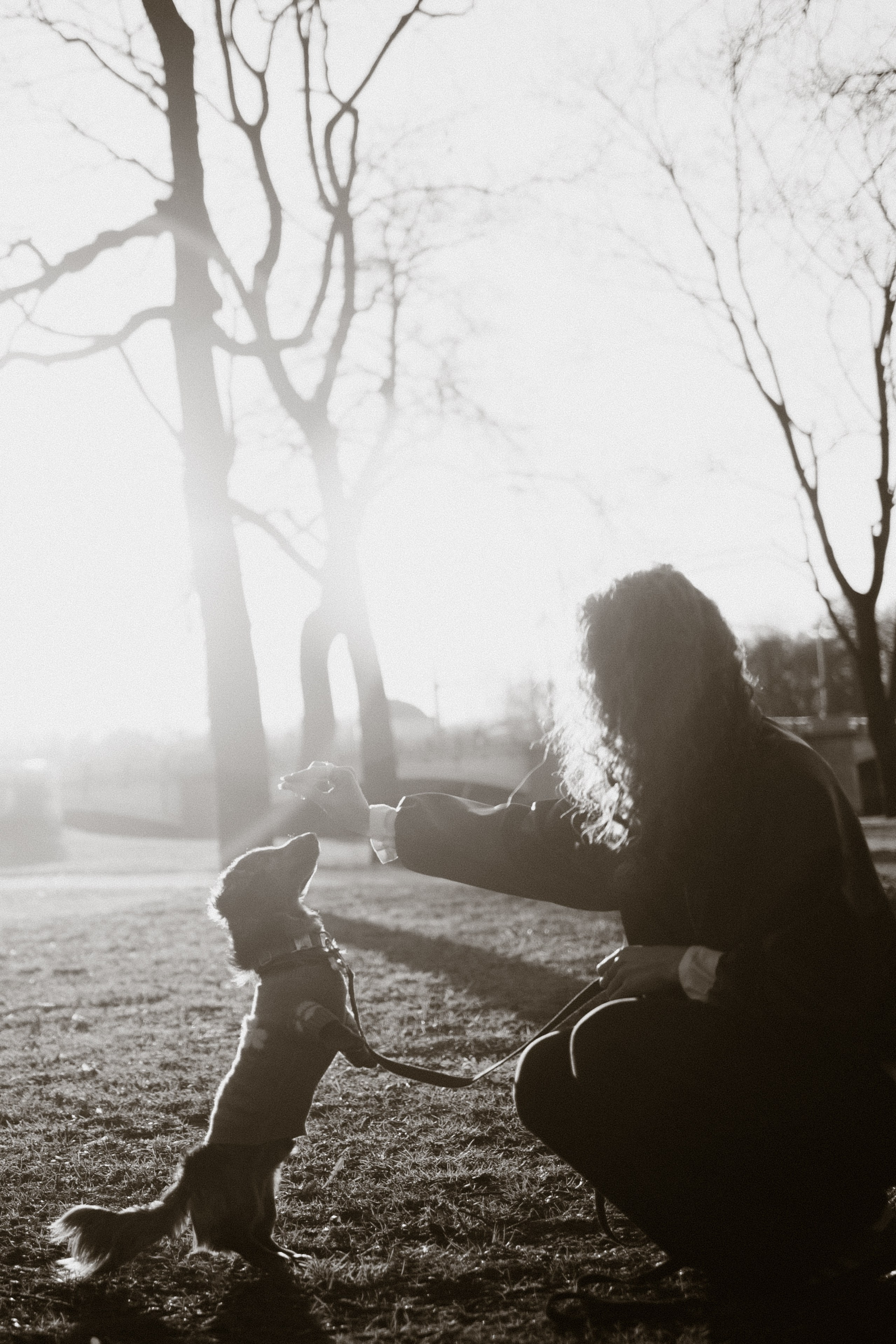 Одна прогулка из жизни Бимы. Семейный фотограф Питер •love-story•|Санкт-Петербург