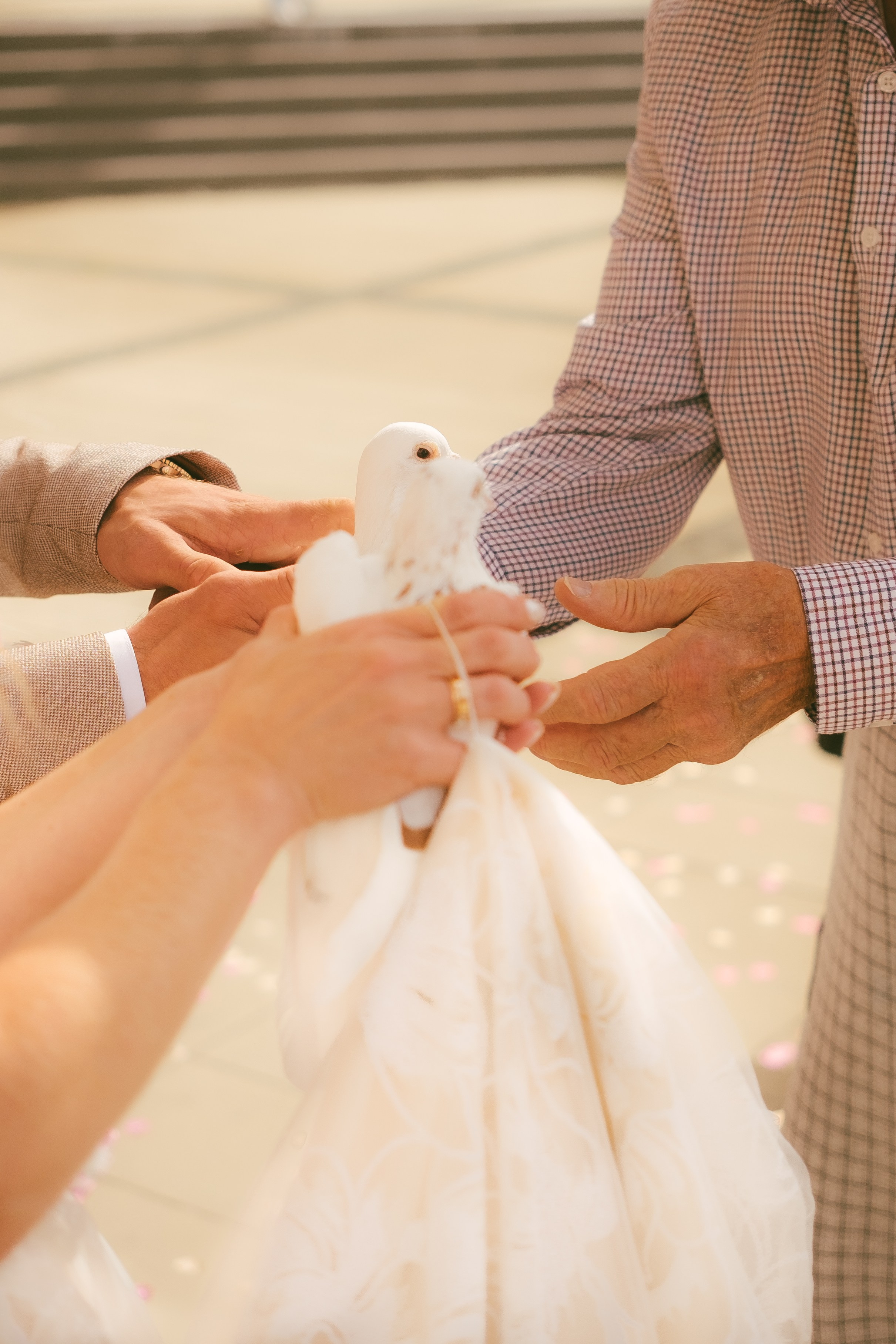 Свадебный проект. Коммерческий и Портретный Фотограф Симферополь Крым Максим Махо