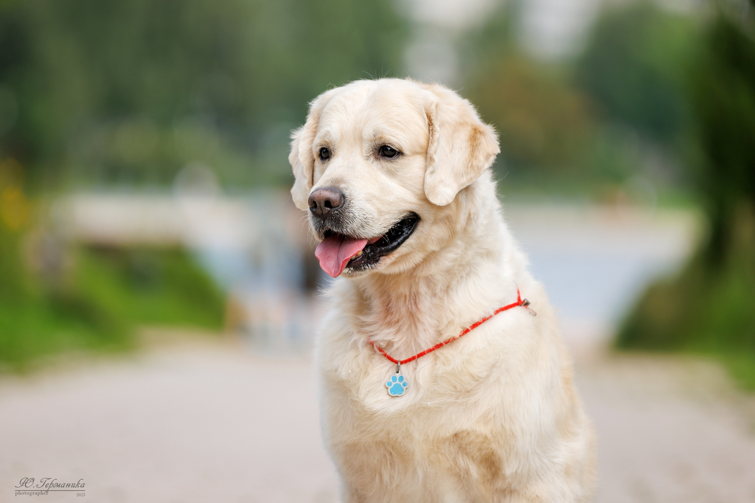 Фотосет Бригада УХ)). Фотограф-анималист Юлия Германика