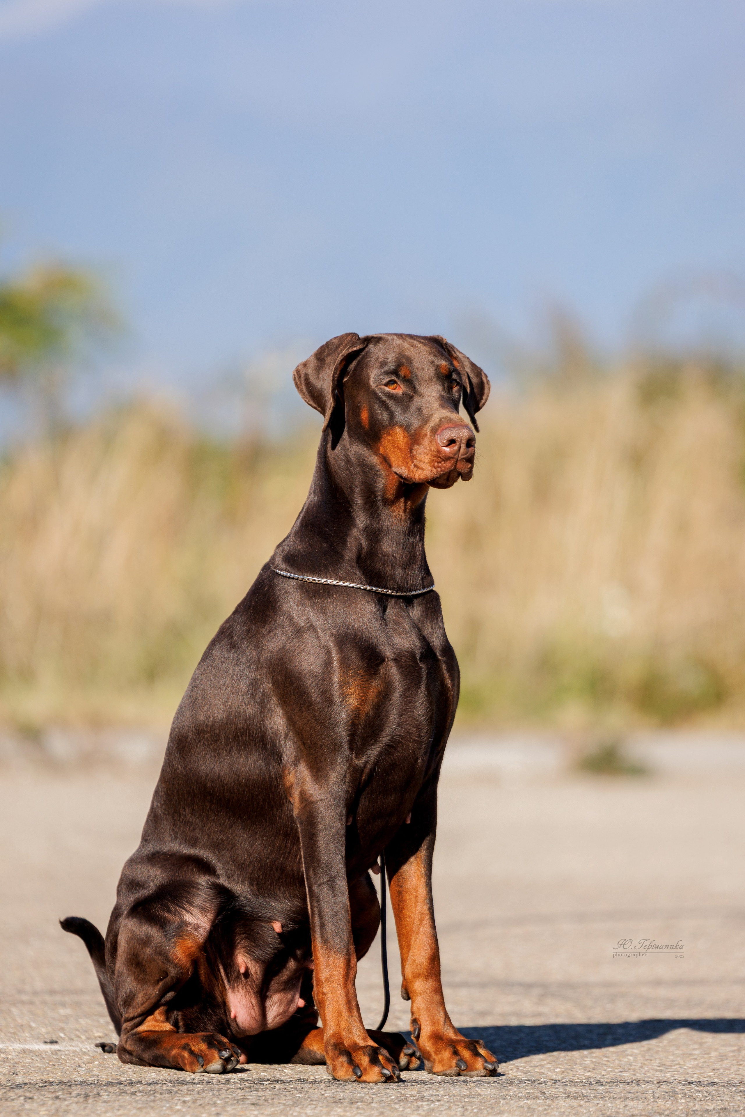 Телави 11-12.10.2025. Фотограф-анималист Юлия Германика
