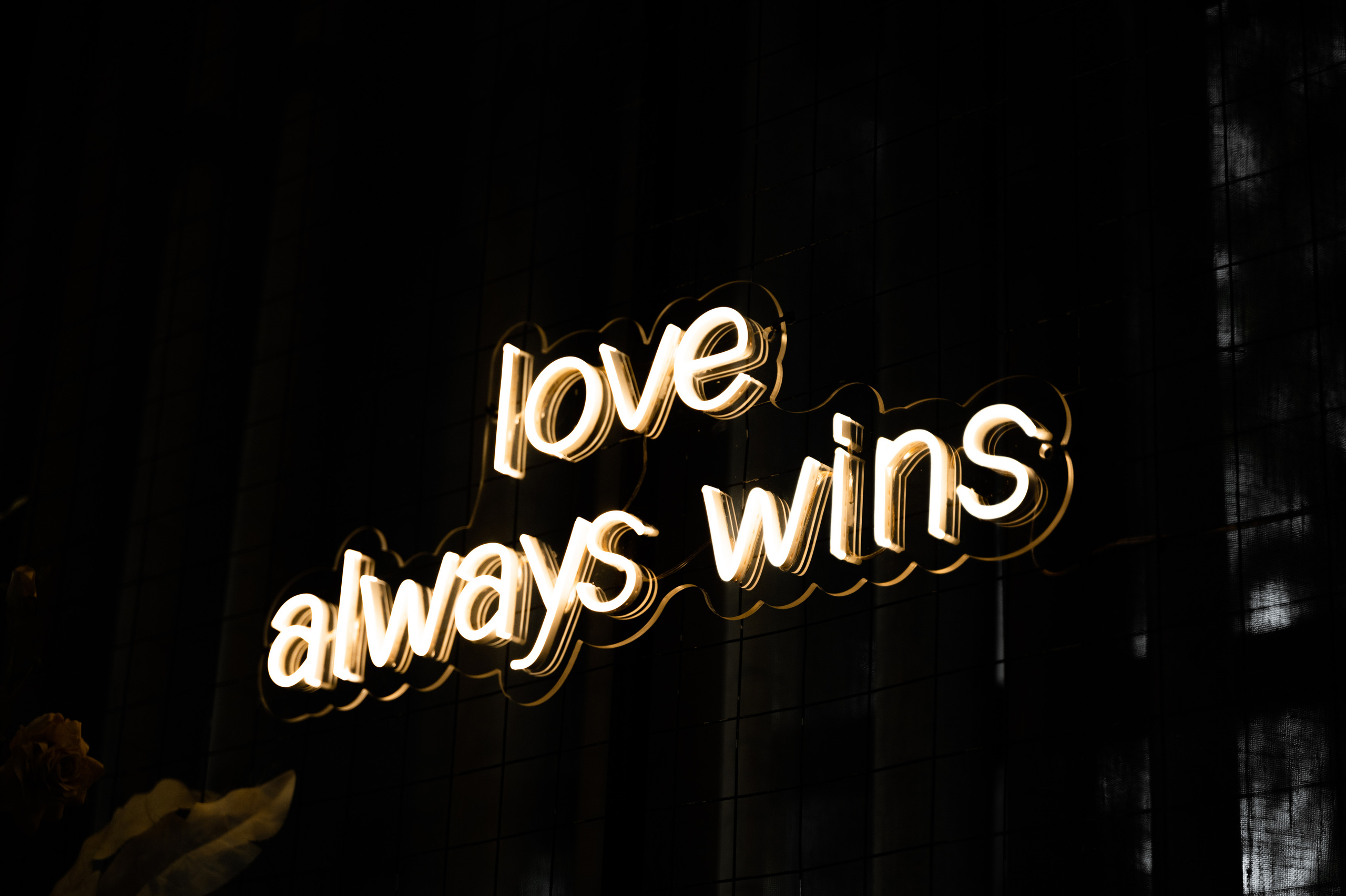 Алина & Юрий. Свадебный и семейный фотограф Тюмень Екатеринбург Москвина Алёна