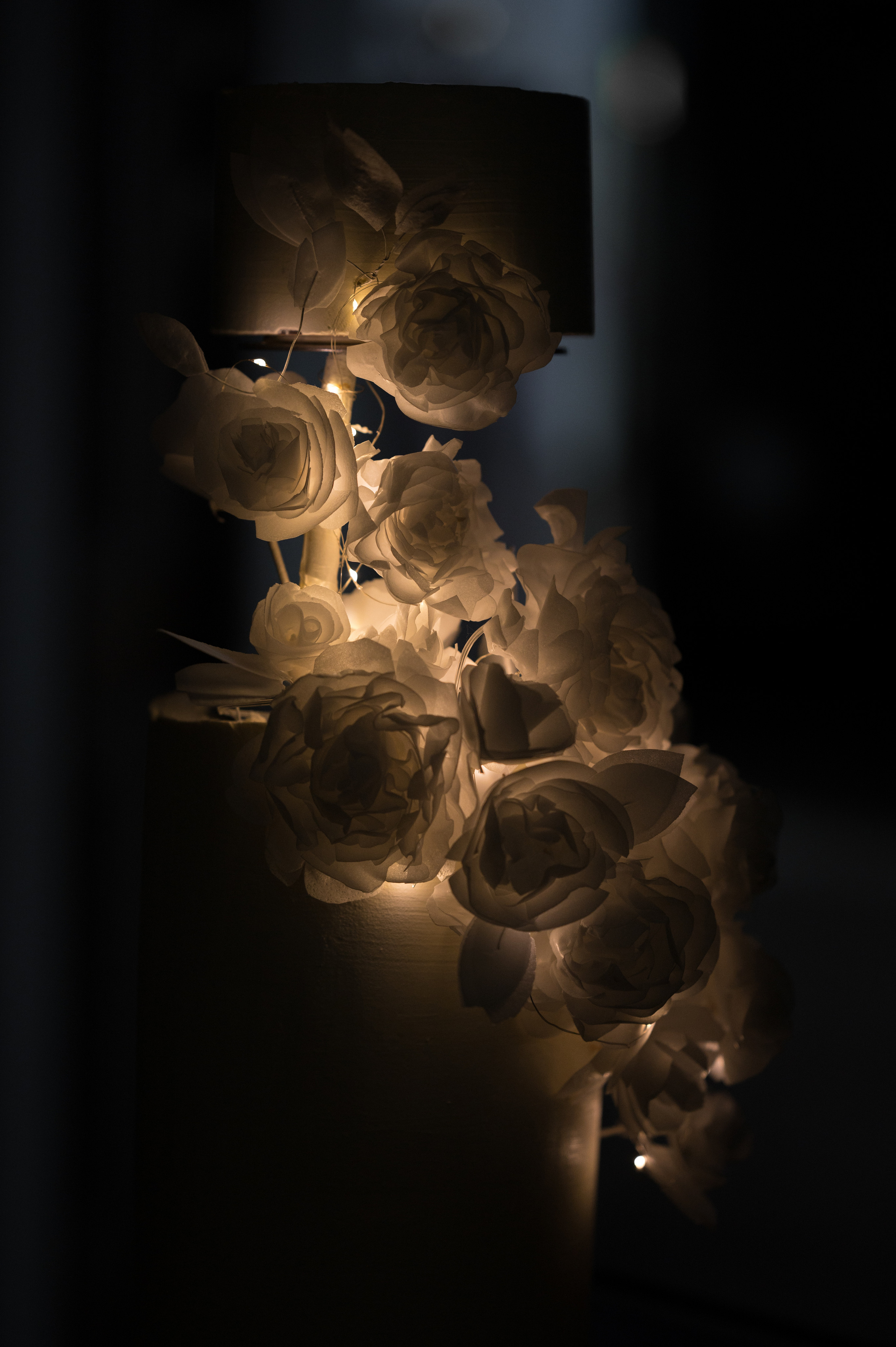 Дарья & Николай. Свадебный и семейный фотограф Тюмень Екатеринбург Москвина Алёна