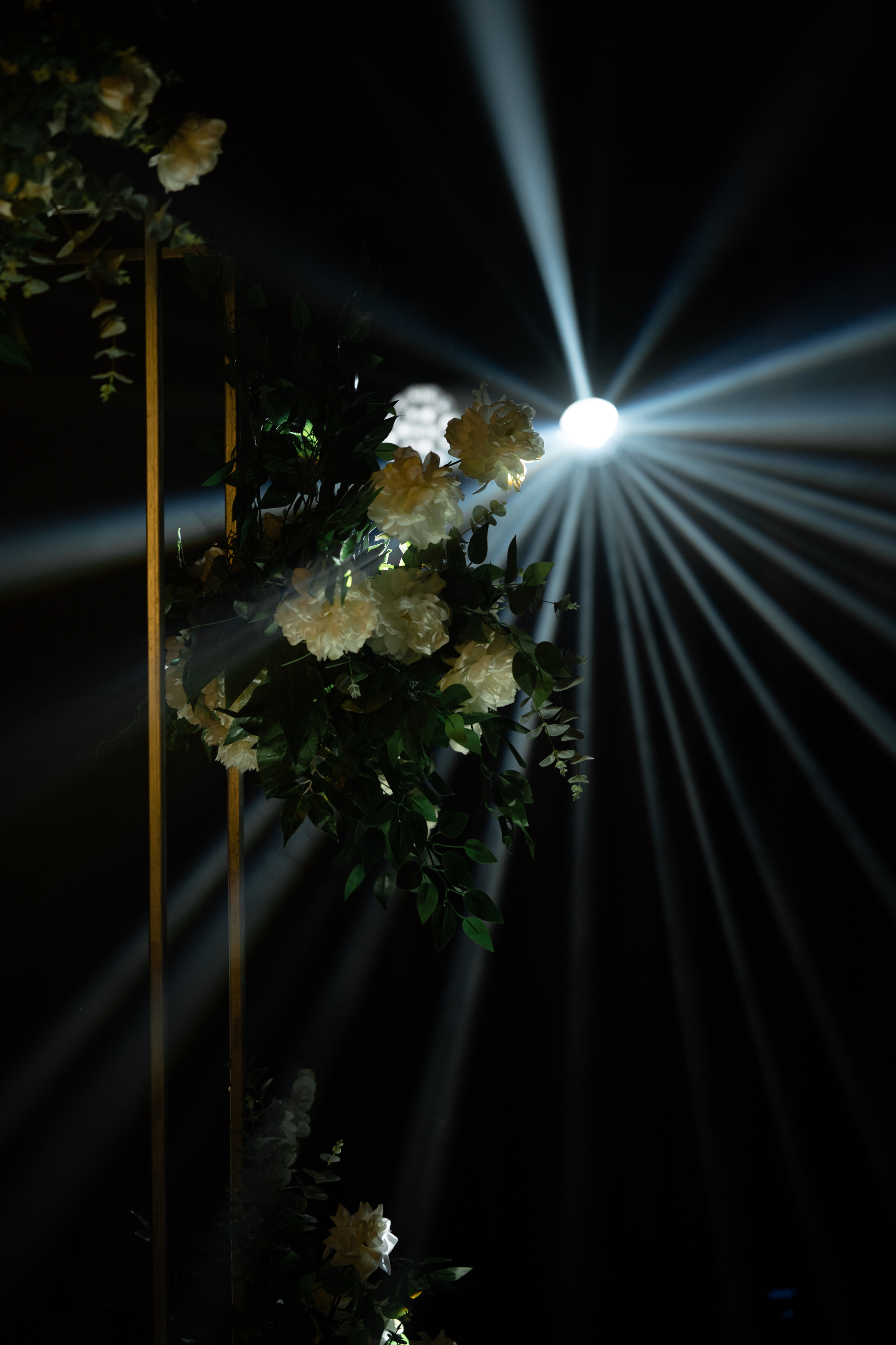 Татьяна & Дмитрий. Свадебный и семейный фотограф Тюмень Екатеринбург Москвина Алёна