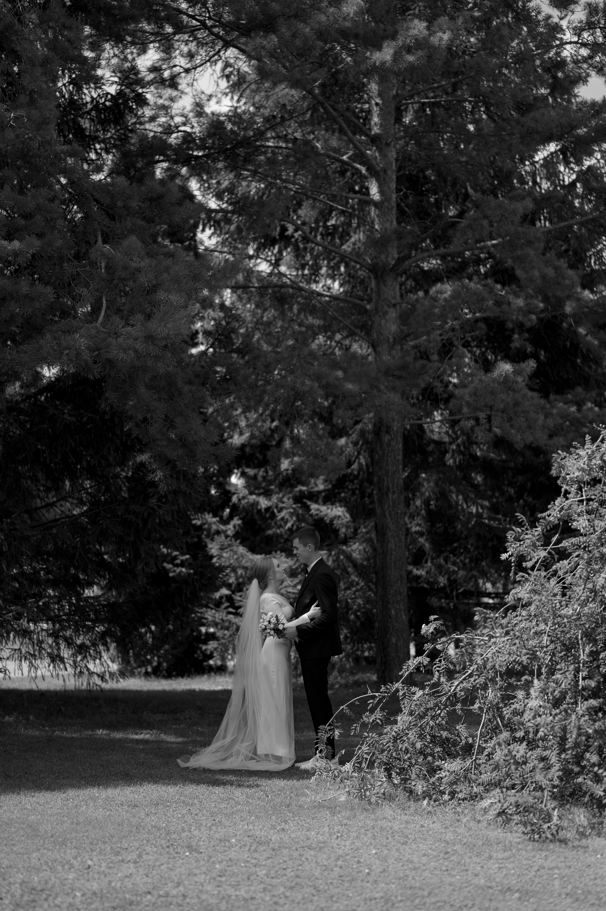 Анастасия & Владимир. Свадебный и семейный фотограф Тюмень Екатеринбург Москвина Алёна