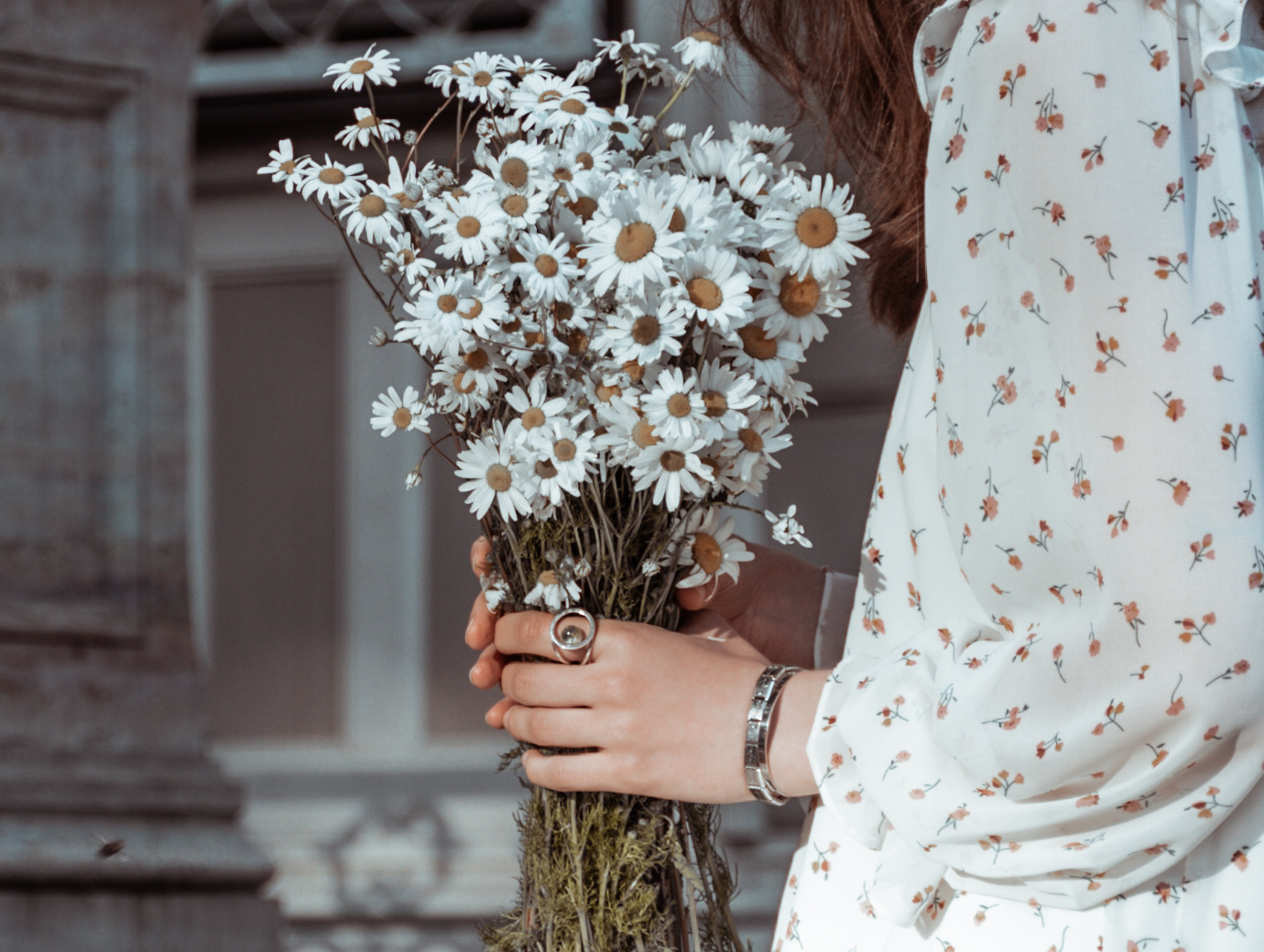 #Белые ночи. Рассвет в Лопухинском саду. Главная