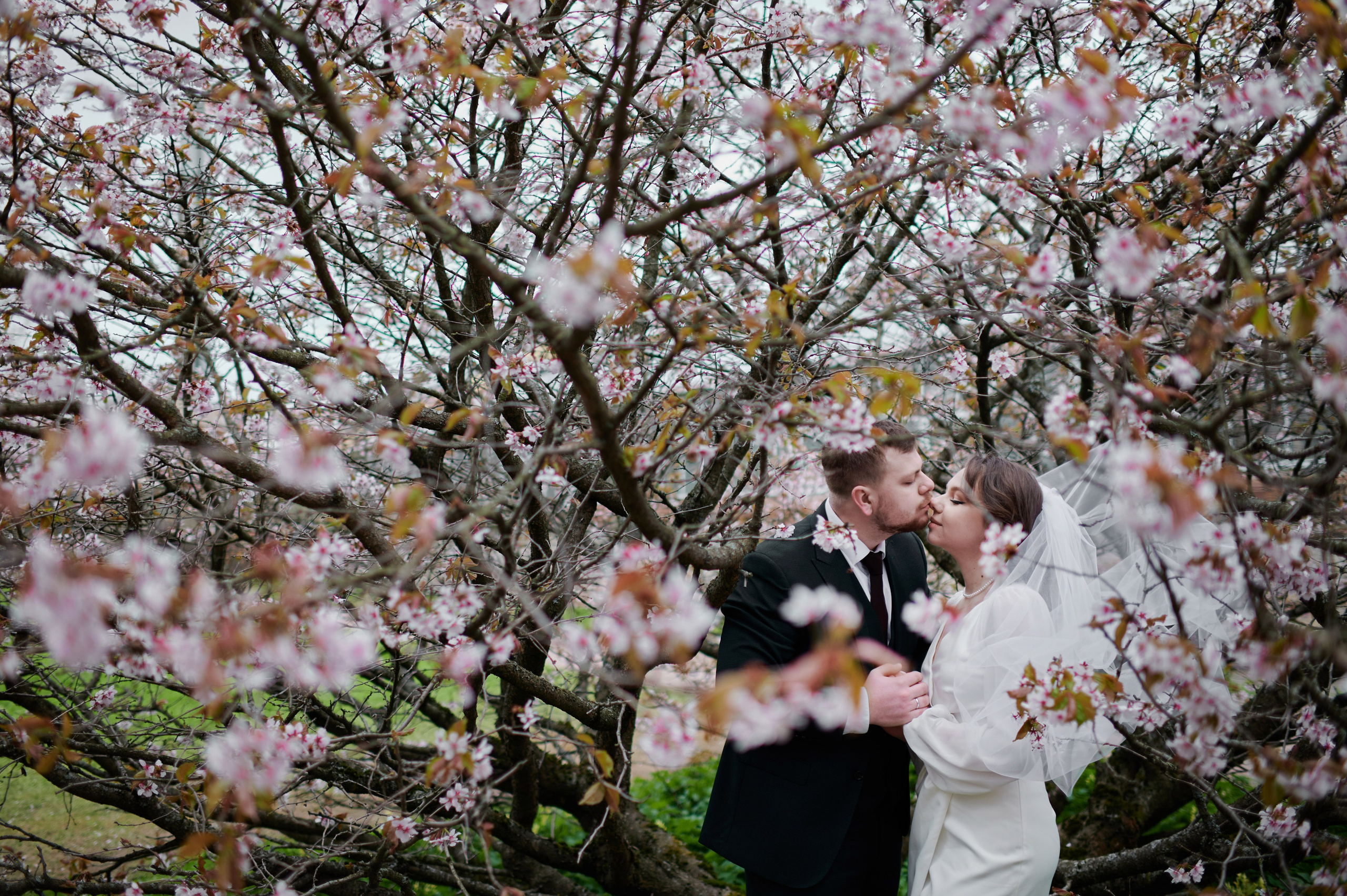 Ксения и Егор (фотосессия в ЗАГСе Петроградского района, Ботаническом саду с сакурой). Портретный, семейный и свадебный фотограф в Санкт-Петербурге и в Пушкине Ширяев Денис