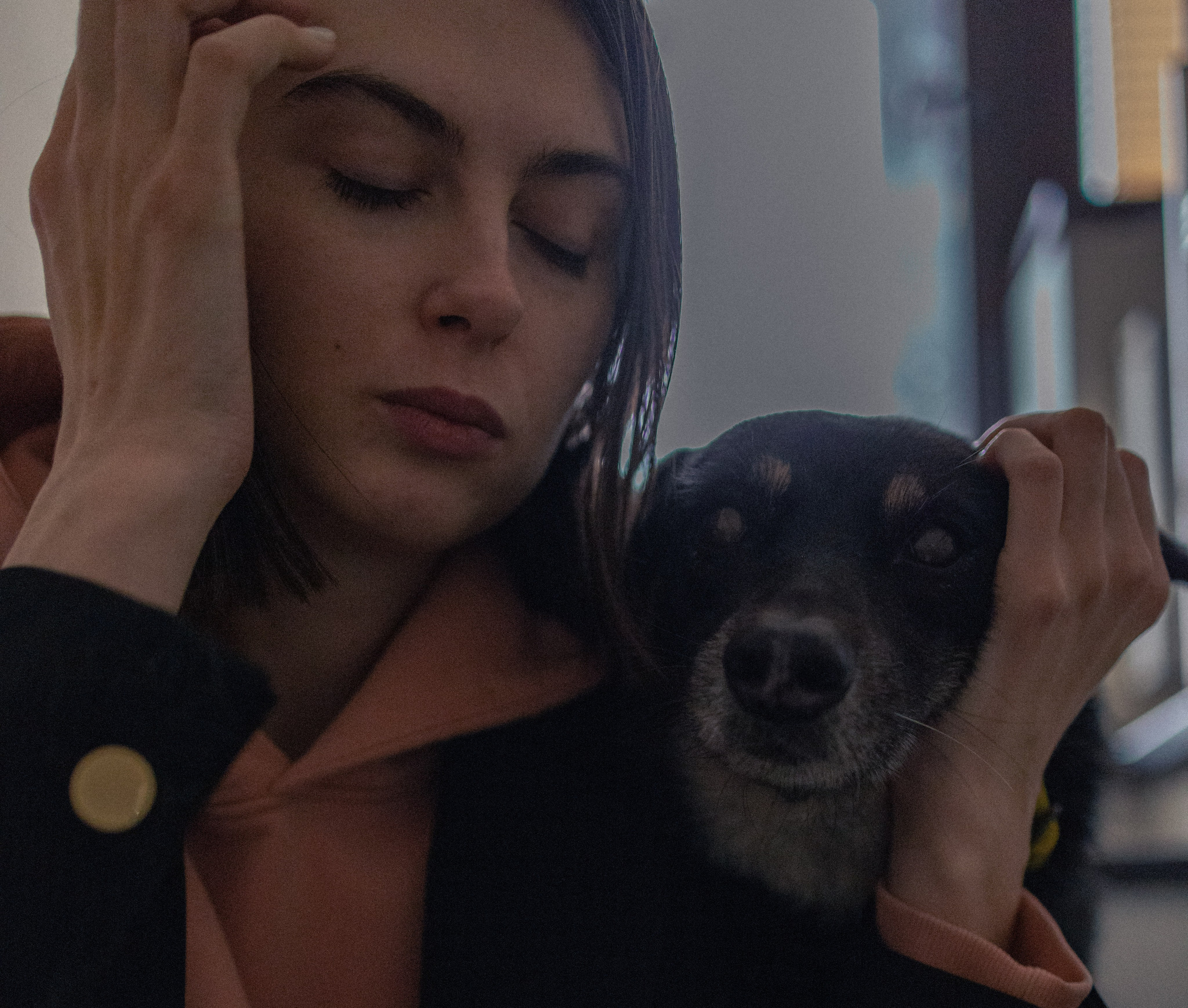 Ника, Матиша и Герда. Фотограф-анималист в Москве Лера Черноног