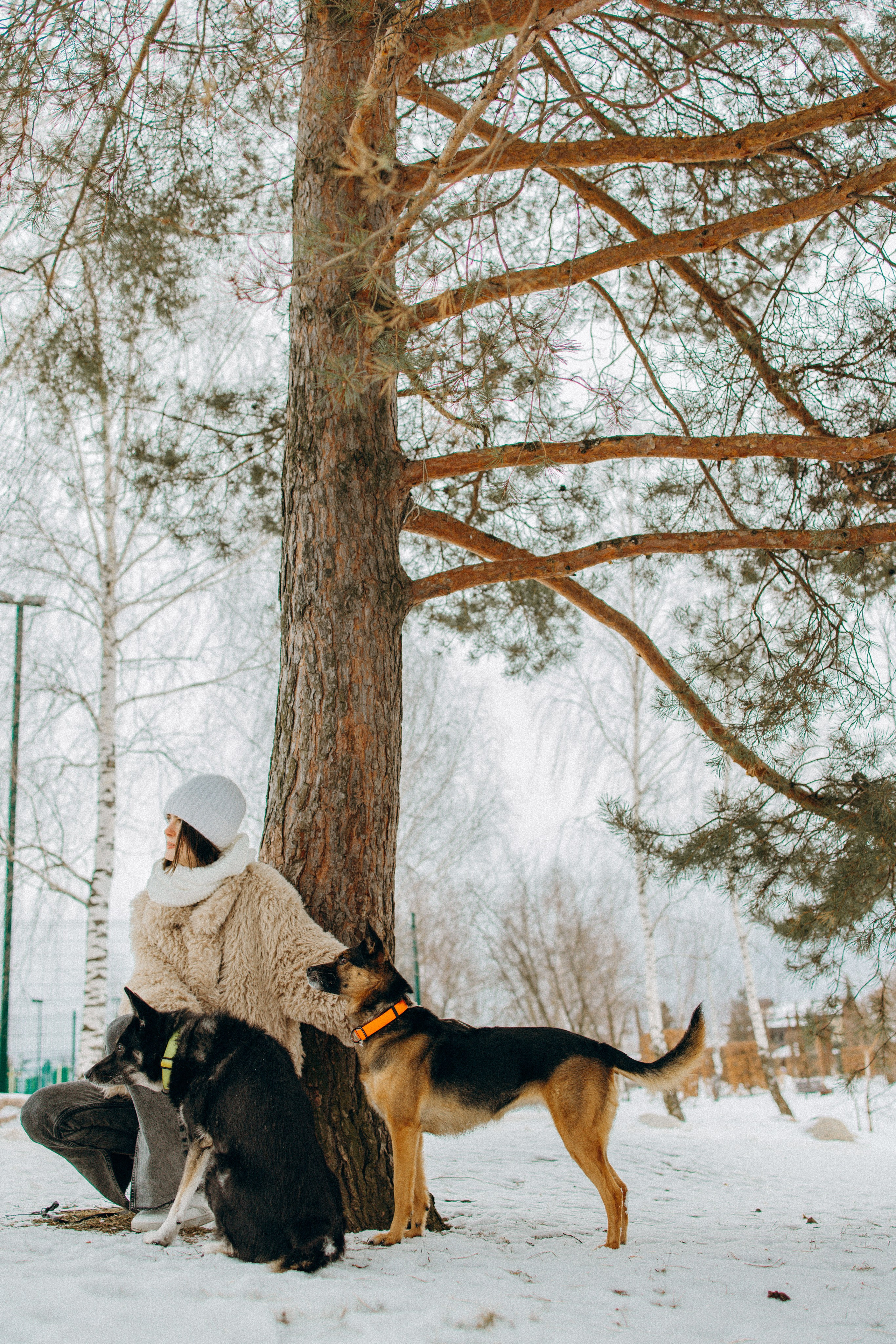 Ника, Матиша и Герда. Фотограф-анималист в Москве Лера Черноног