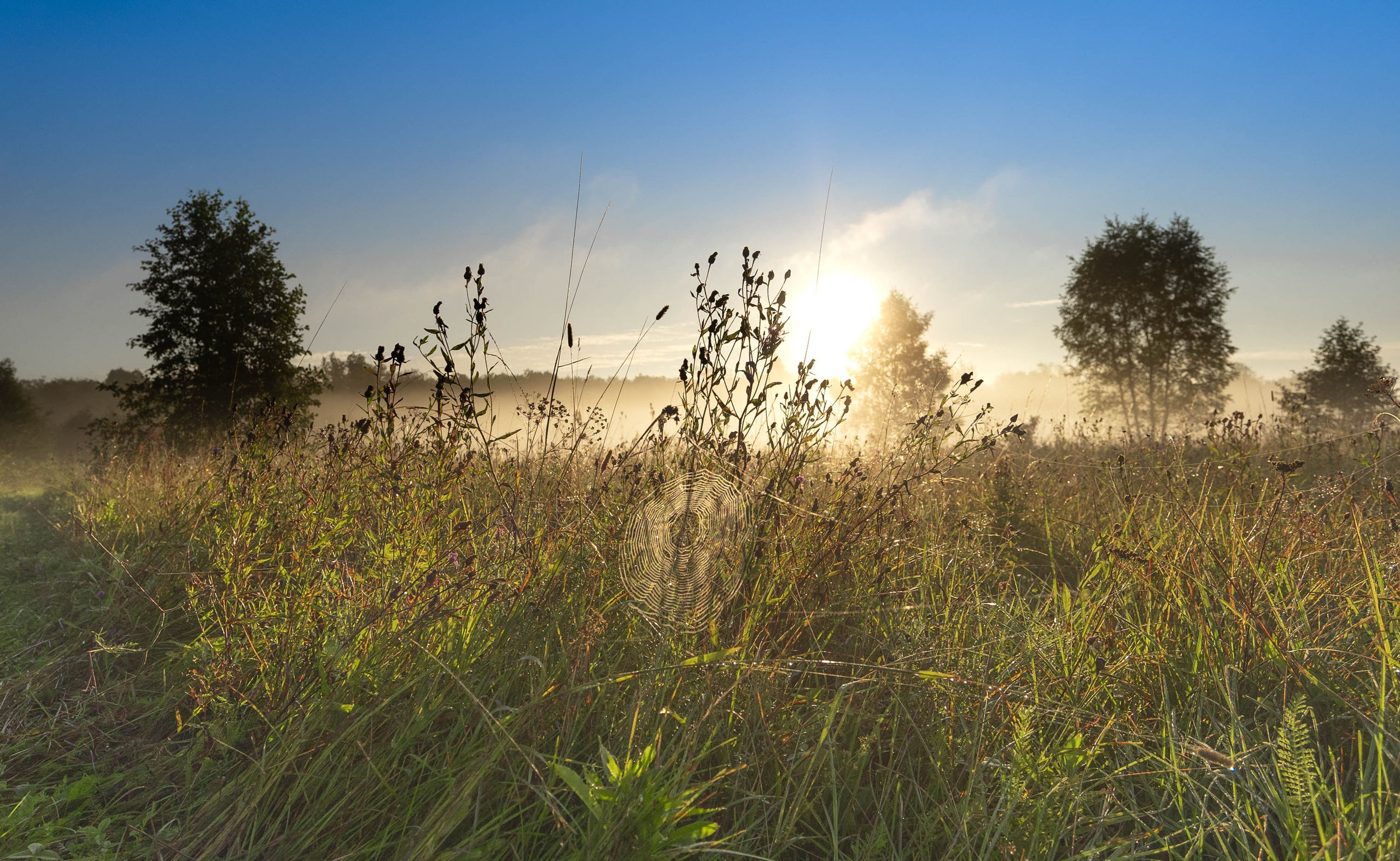 ПЛАНЕТА ЗЕМЛЯ (пейзаж). АЛЕКСЕЙ КОЛМАКОВ. Фотограф. Москва и Московская область