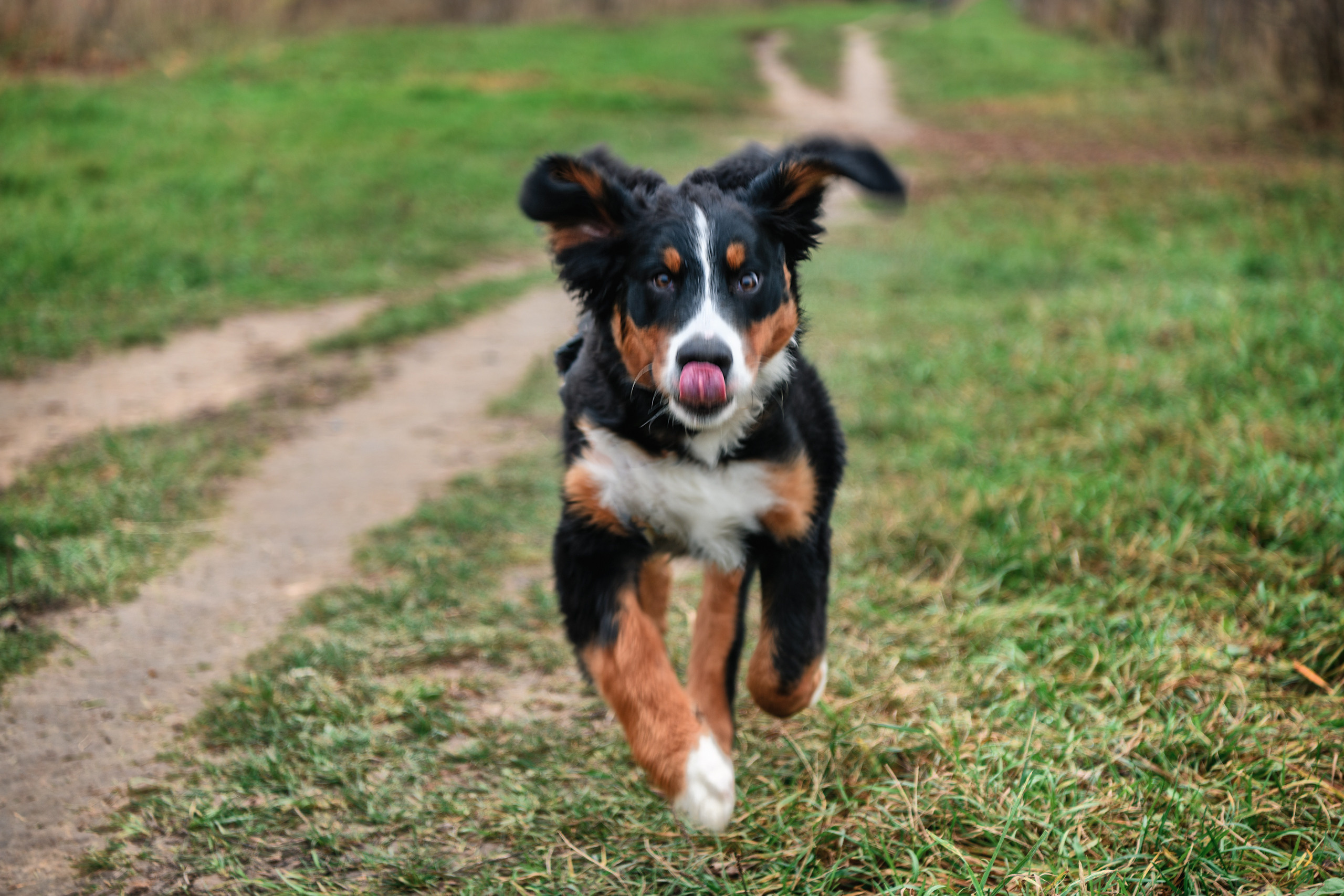 СЕМЬЯ. Профессиональный фотограф в Минске Николай Герасимов