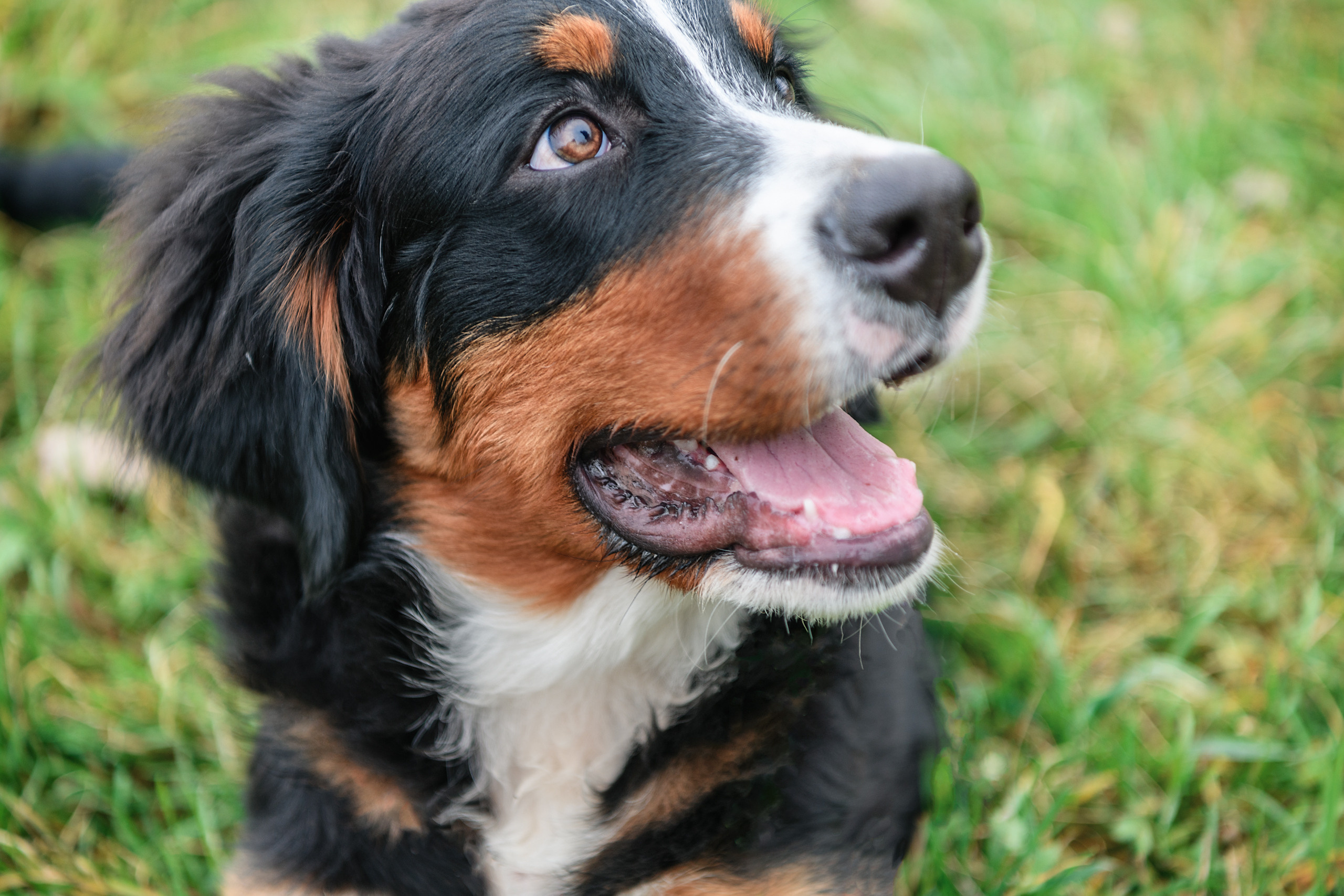 СЕМЬЯ. Профессиональный фотограф в Минске Николай Герасимов