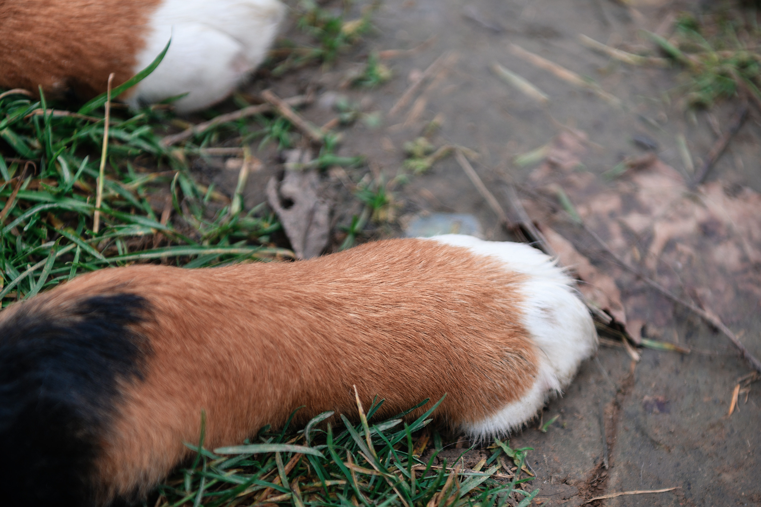 СЕМЬЯ. Профессиональный фотограф в Минске Николай Герасимов