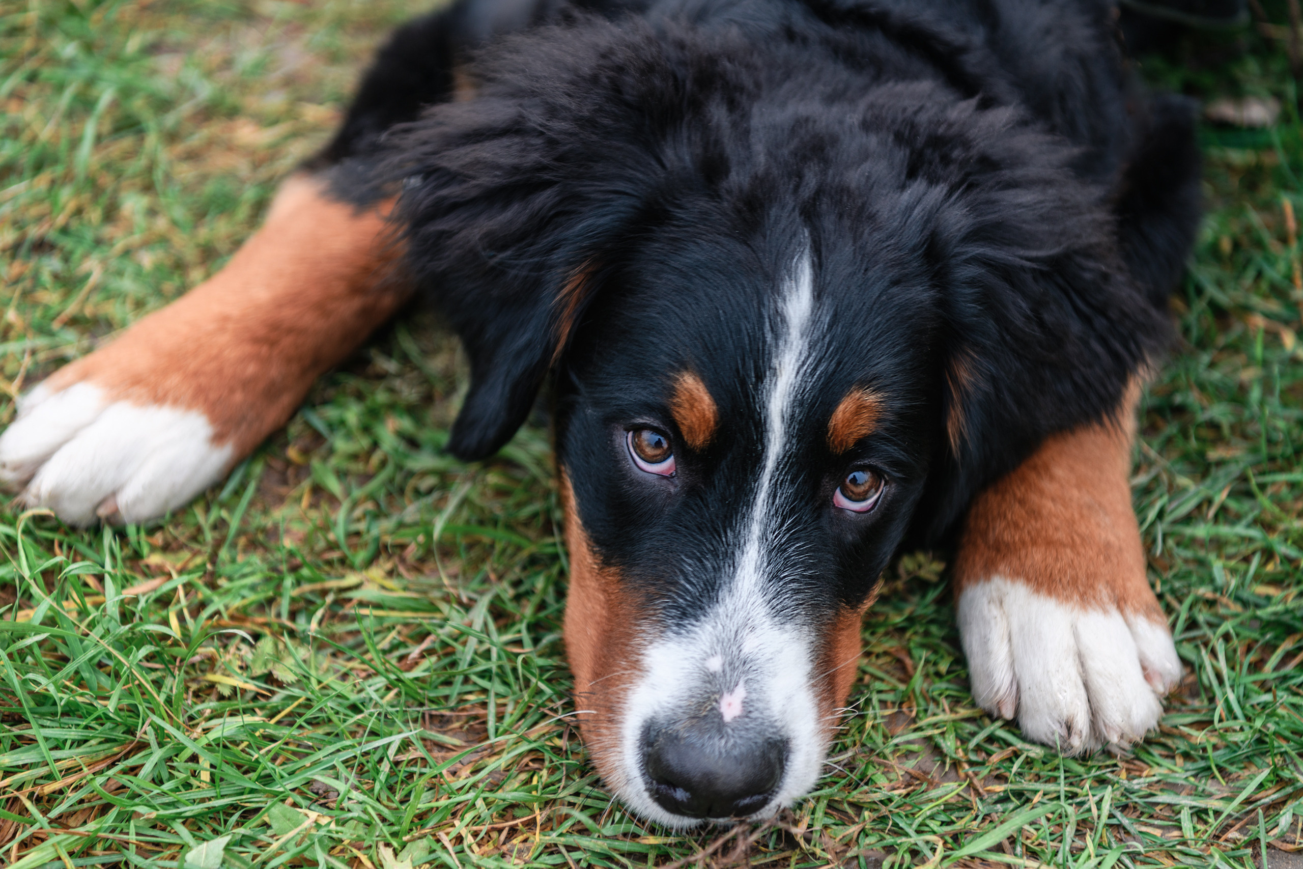 СЕМЬЯ. Профессиональный фотограф в Минске Николай Герасимов