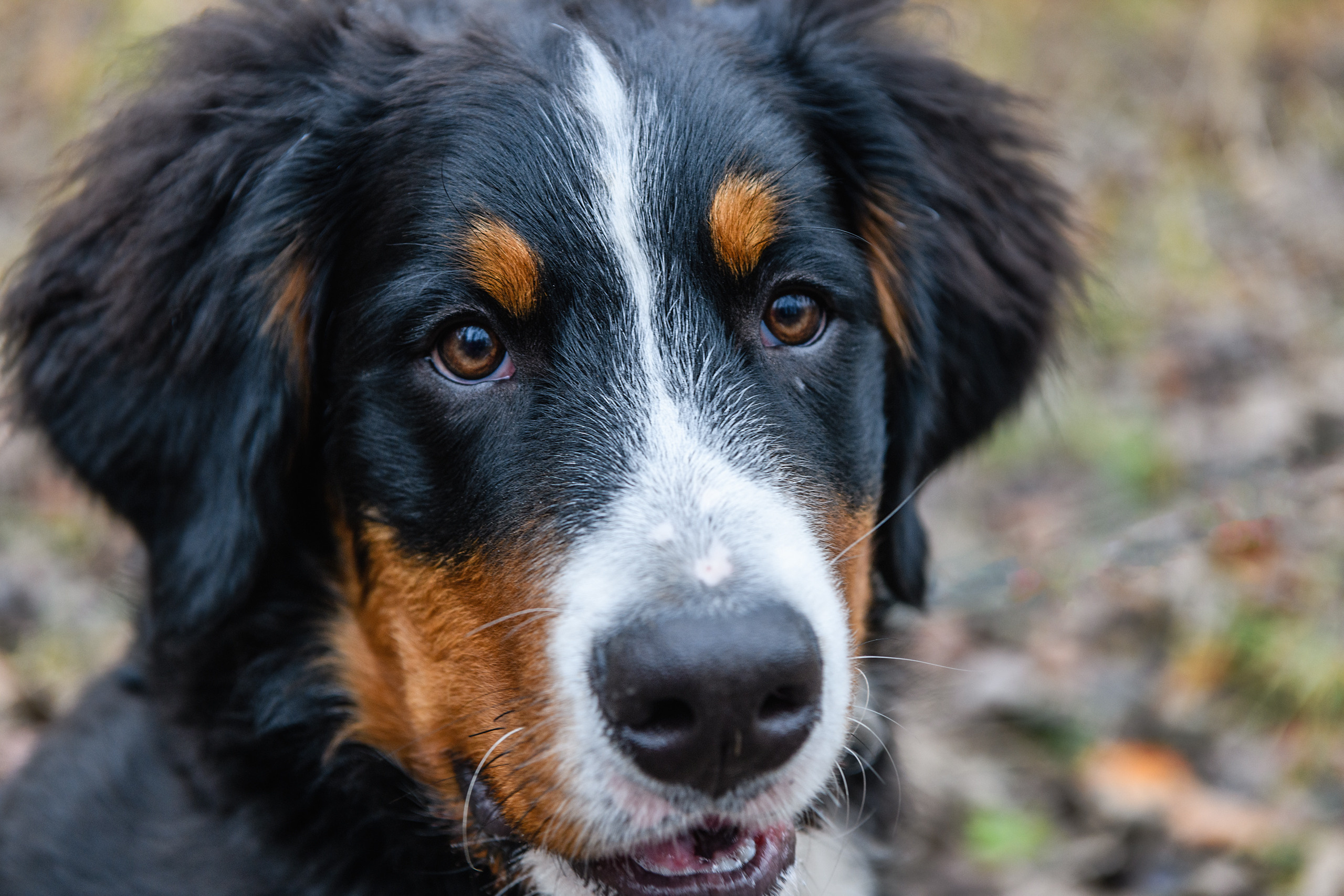 СЕМЬЯ. Профессиональный фотограф в Минске Николай Герасимов
