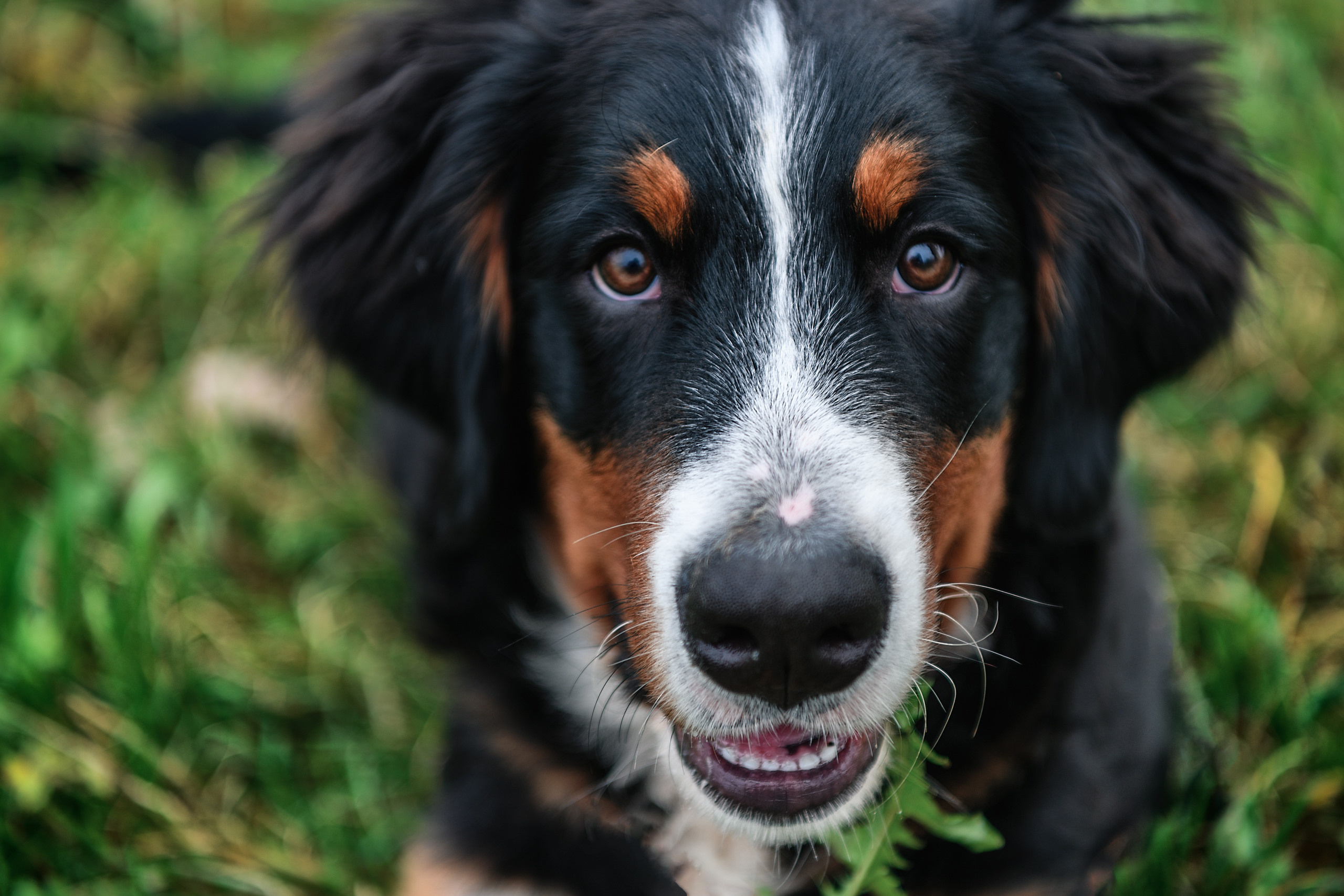 СЕМЬЯ. Профессиональный фотограф в Минске Николай Герасимов
