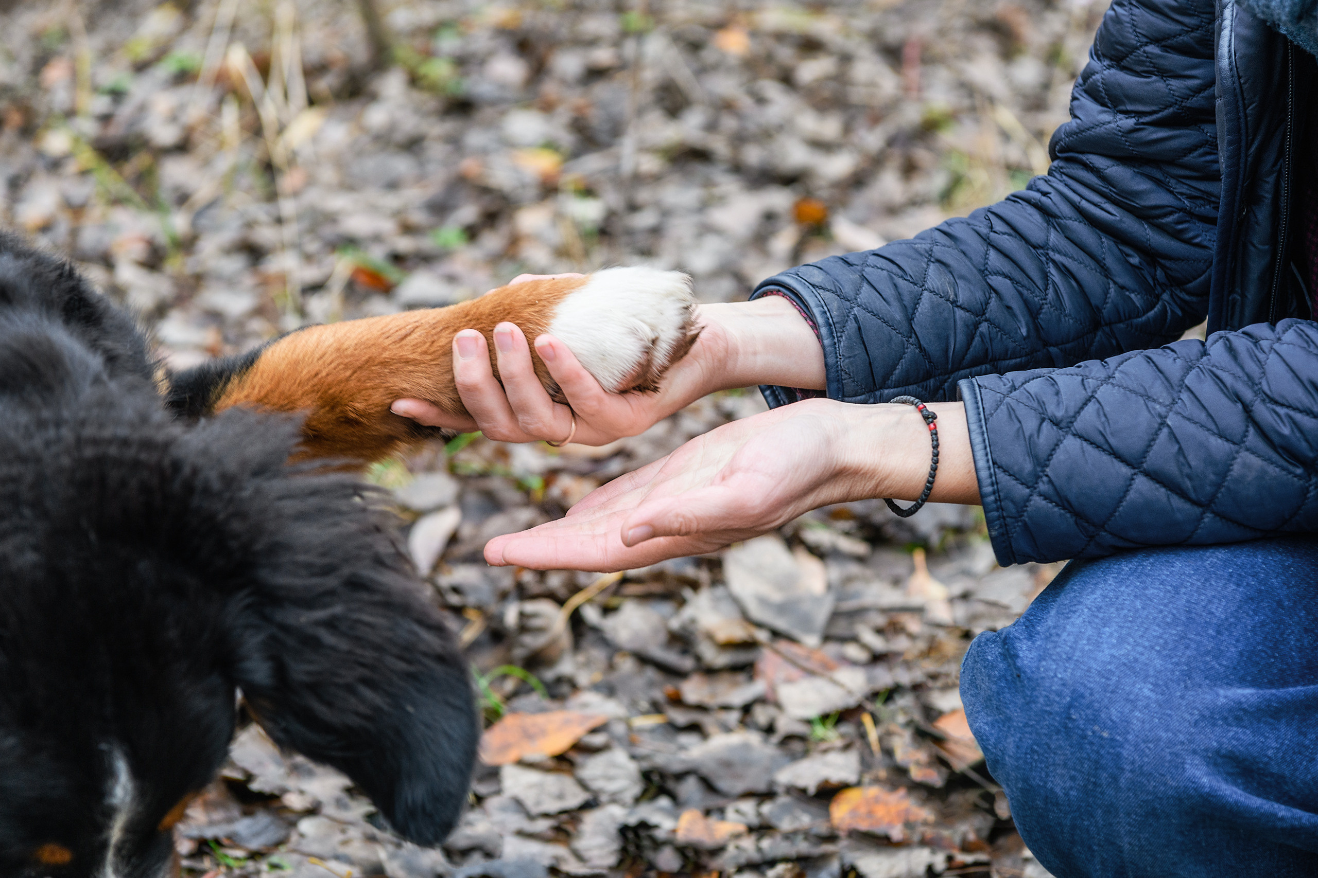 СЕМЬЯ. Профессиональный фотограф в Минске Николай Герасимов
