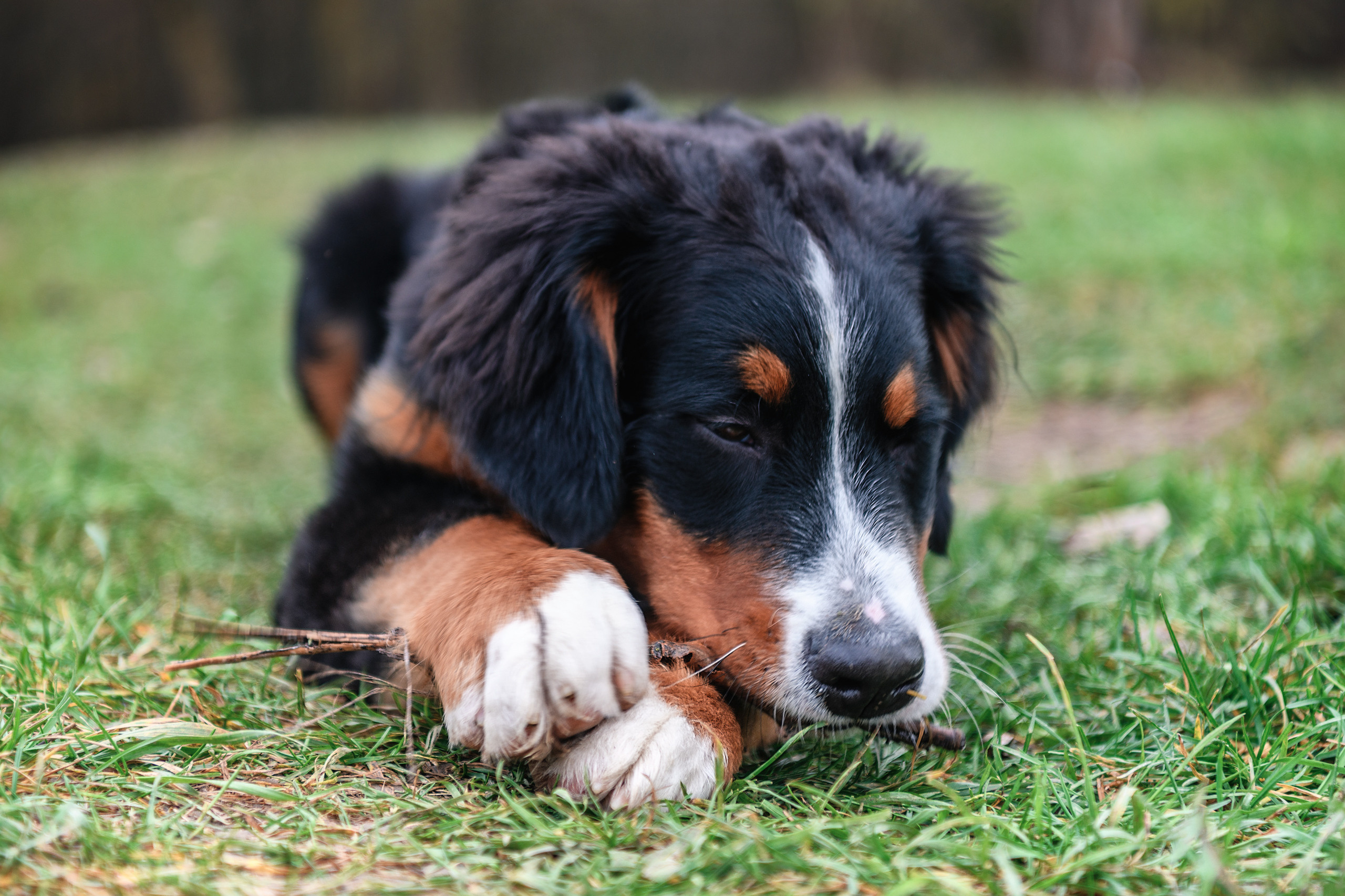 СЕМЬЯ. Профессиональный фотограф в Минске Николай Герасимов