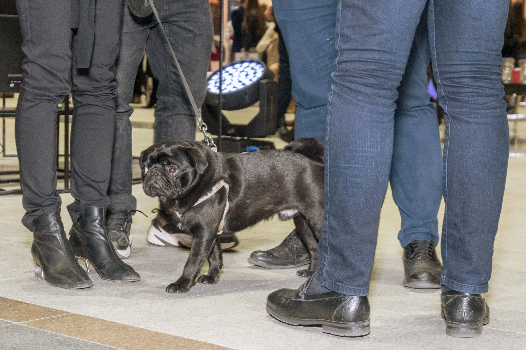 Фоторепортаж с выставки-продажи Art Russia. Интерьерный и архитектурный фотограф в Москве Панова Ольга