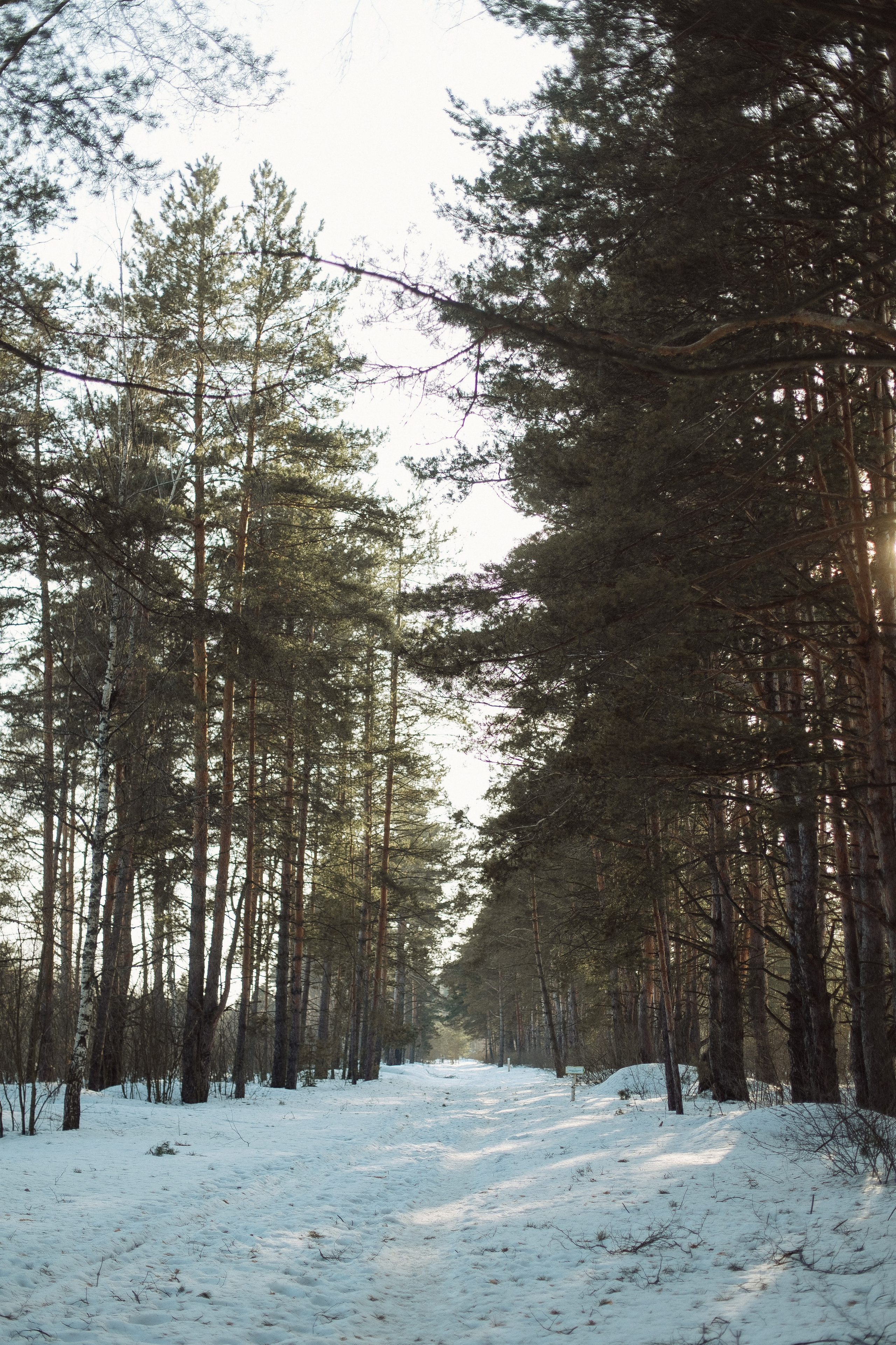 Экопарк ПОЛЯНЫ. Главная