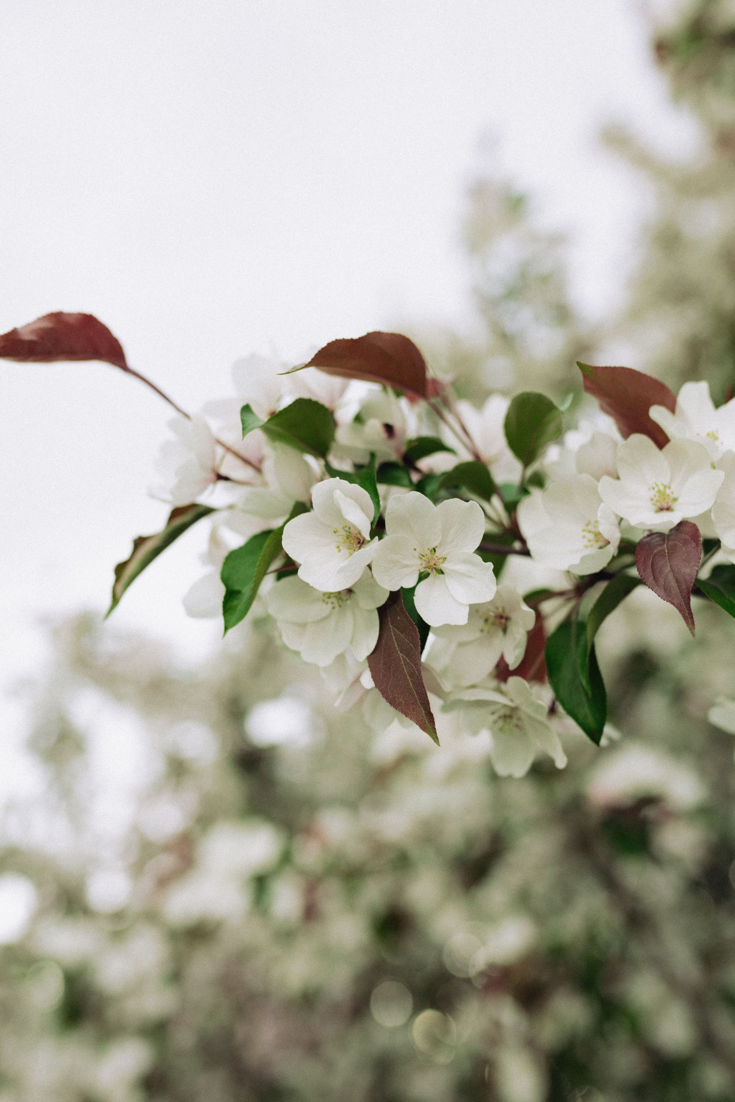 Дарья. Фотограф Стилист Тюмень Вера Хайруллина