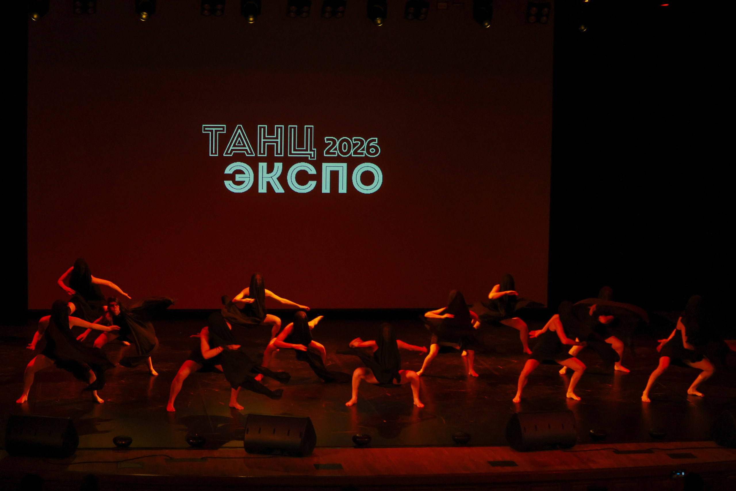 Небесные ласточки на Танц ЭКСПО 2026. Фотограф Юлия Мальцева