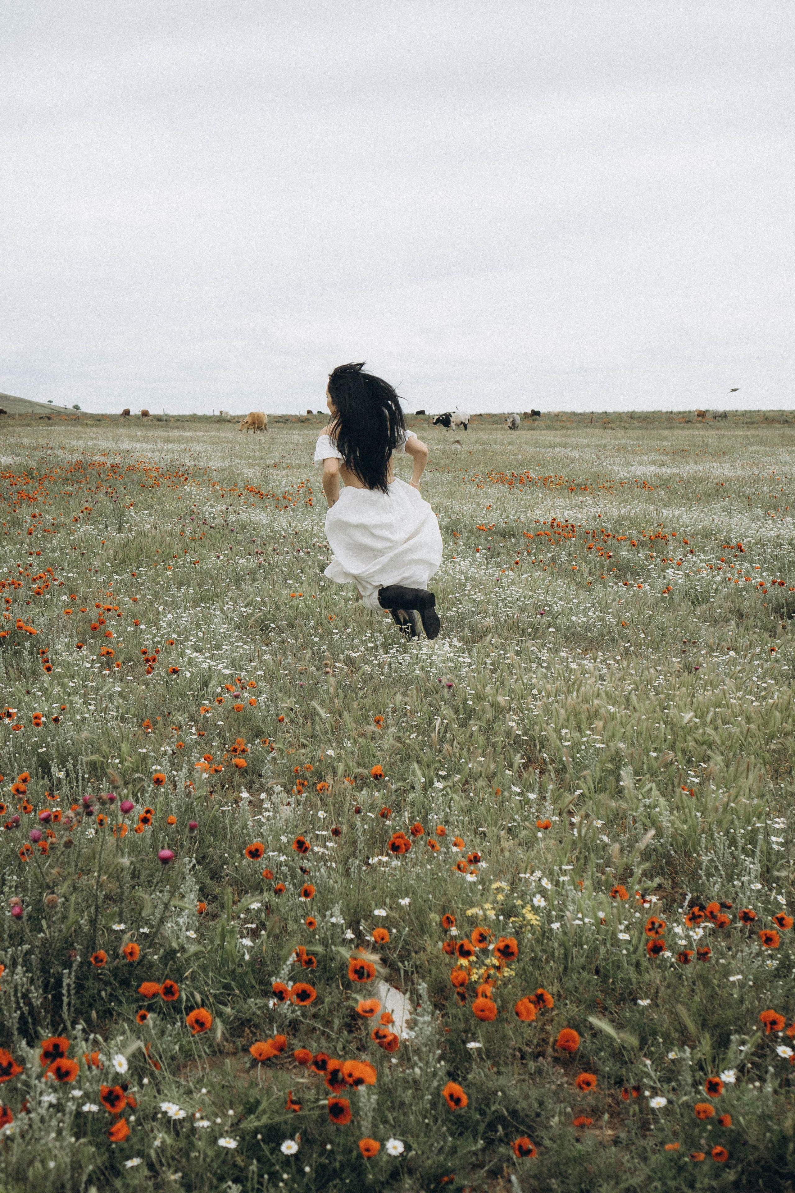 Маковое поле. Профессиональный фотограф, Санкт-Петербург — Виктория Богомолова
