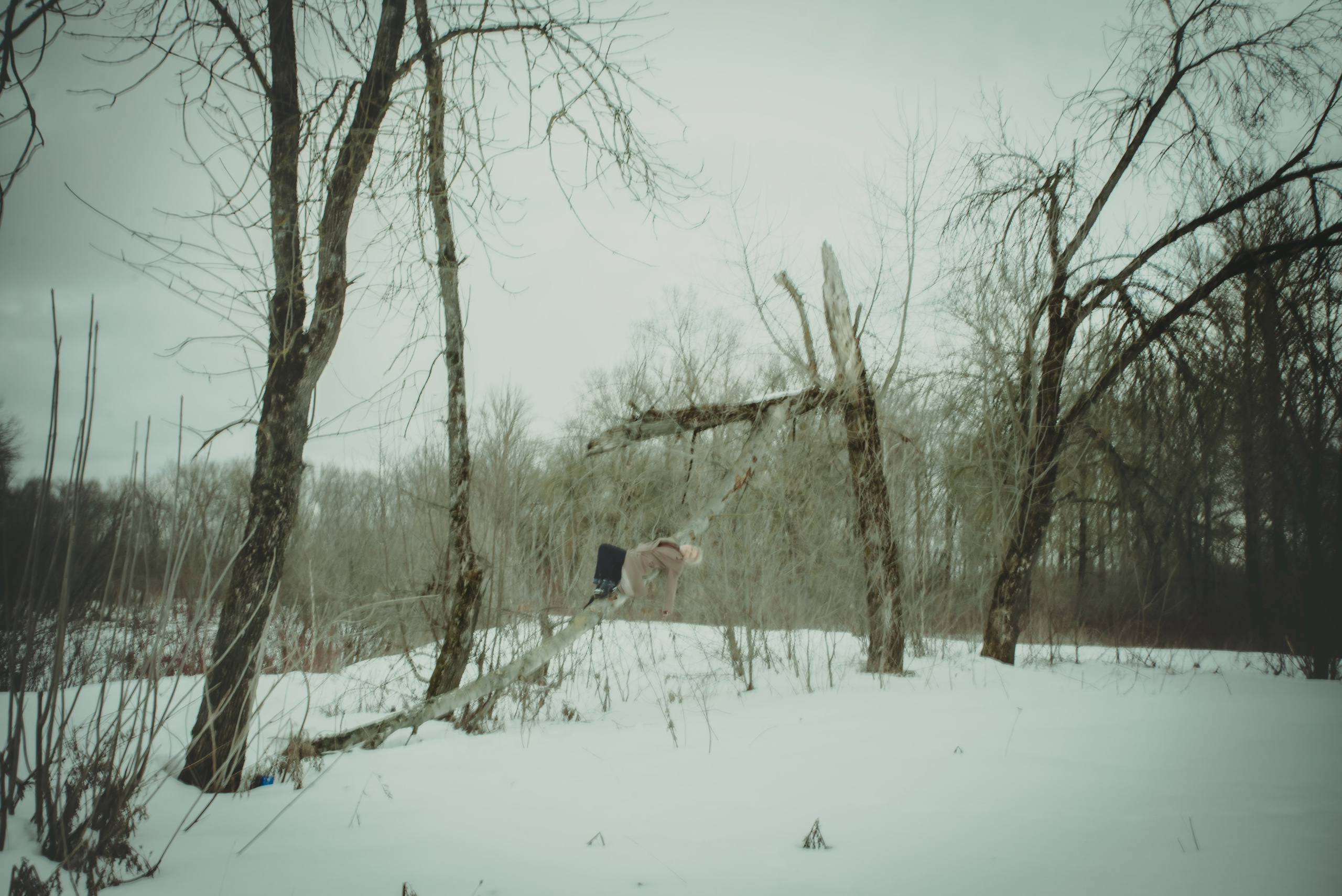 Зима любви. Фотограф Крещение Венчание Москва