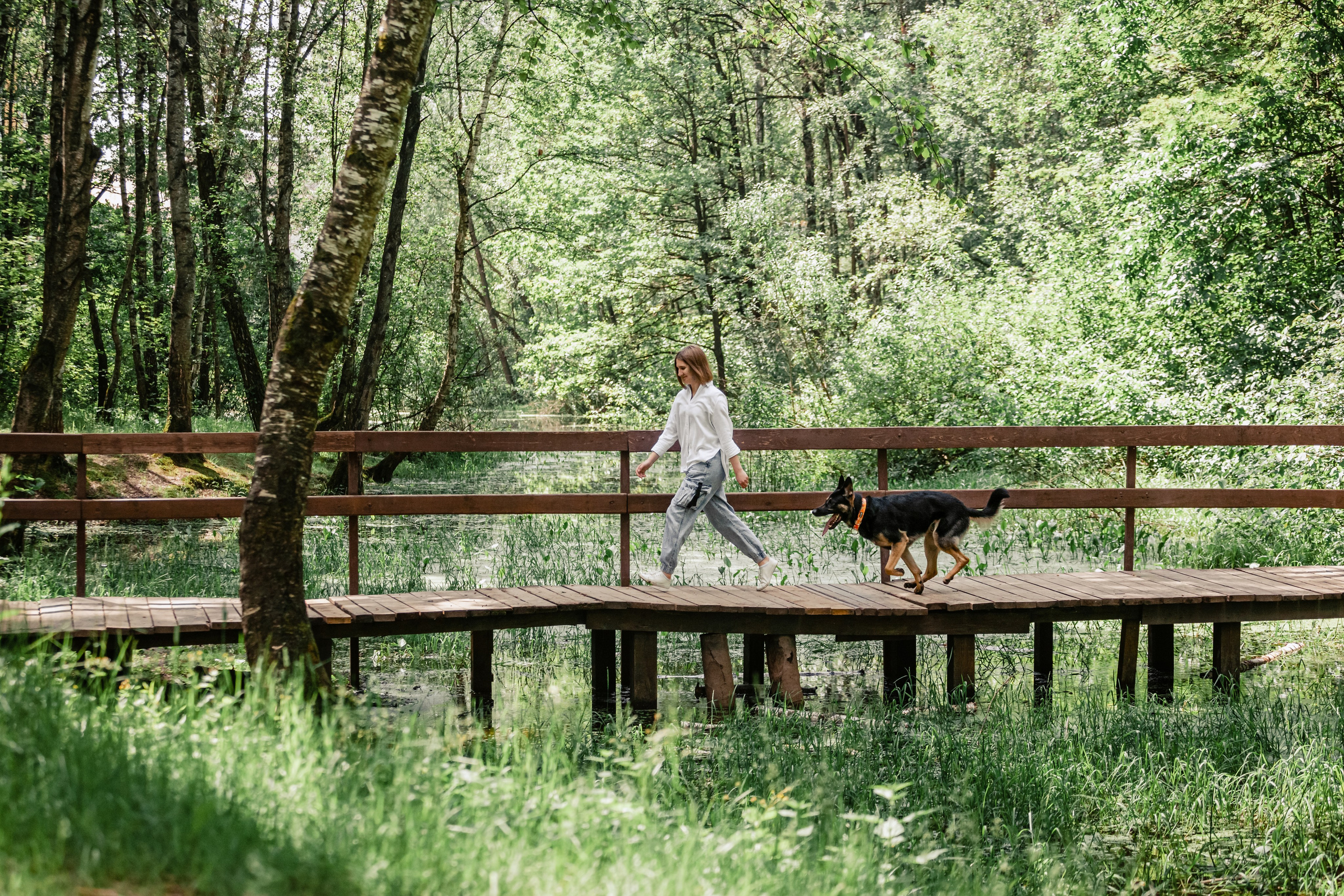 Лесная летняя фотопрогулка. Фотограф-анималист Татьяна Степанова