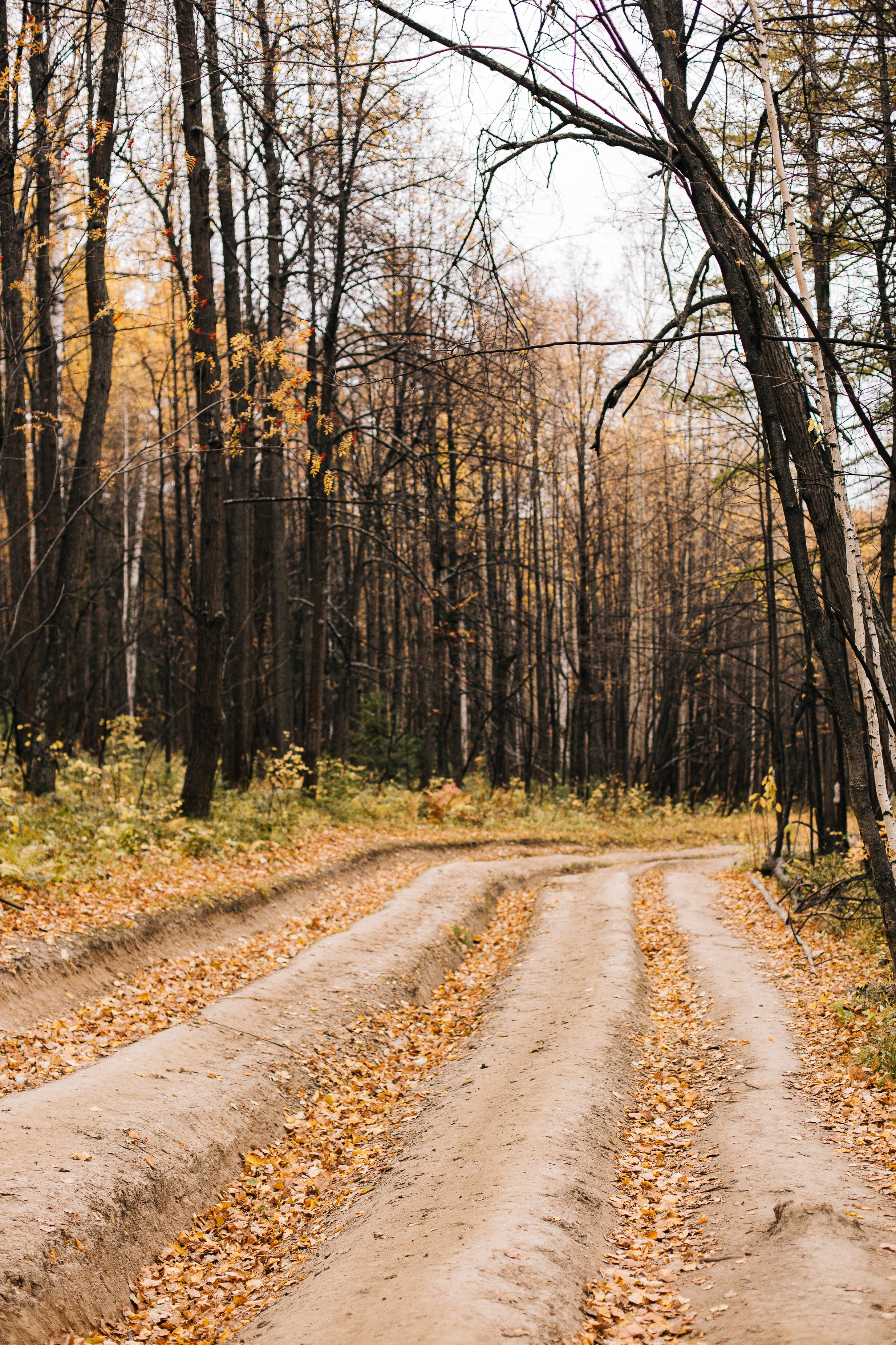 Семь Братьев. Семейный фотограф Трусова Евгения в Екатеринбурге