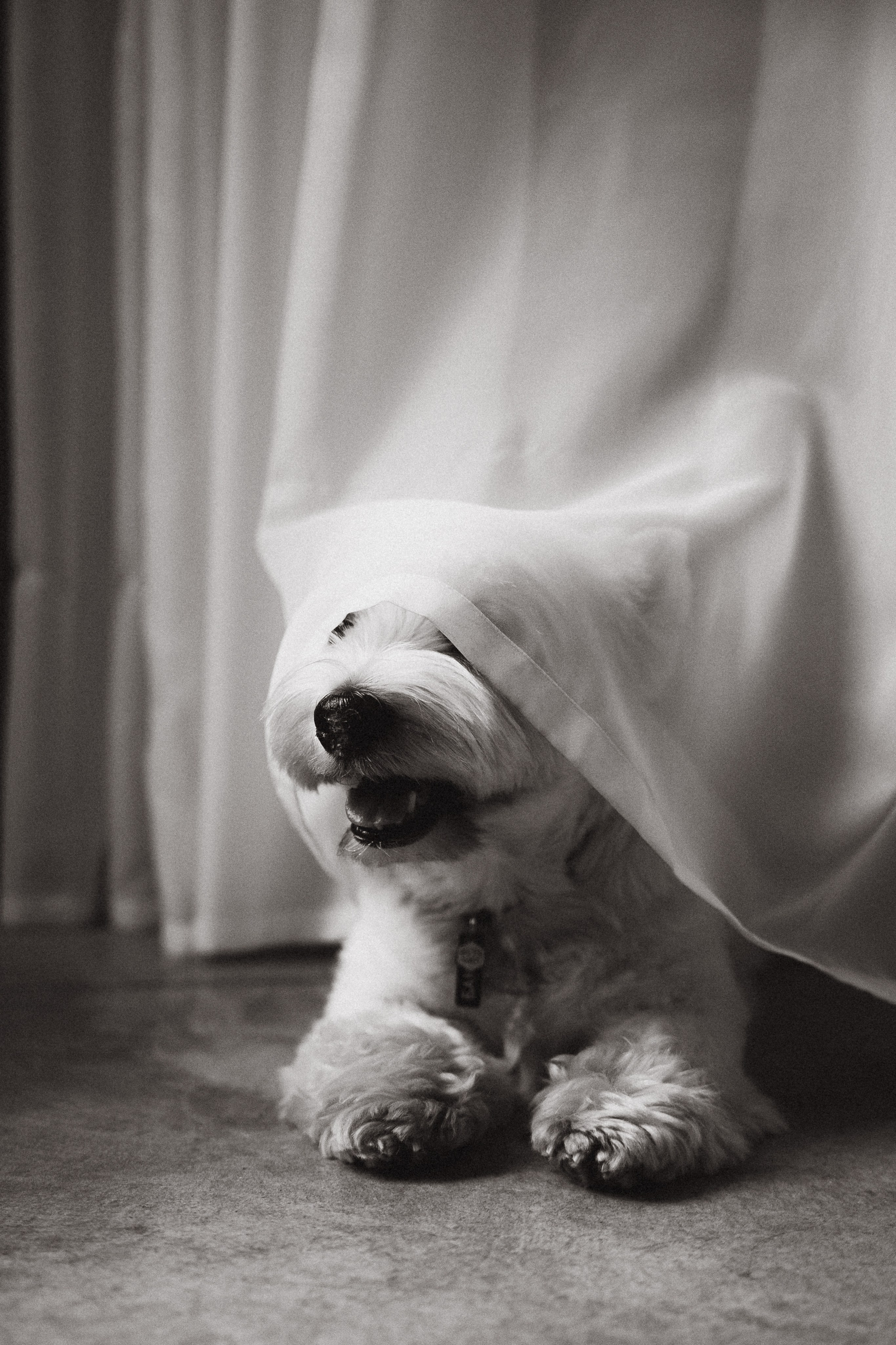 Вера и Бакс