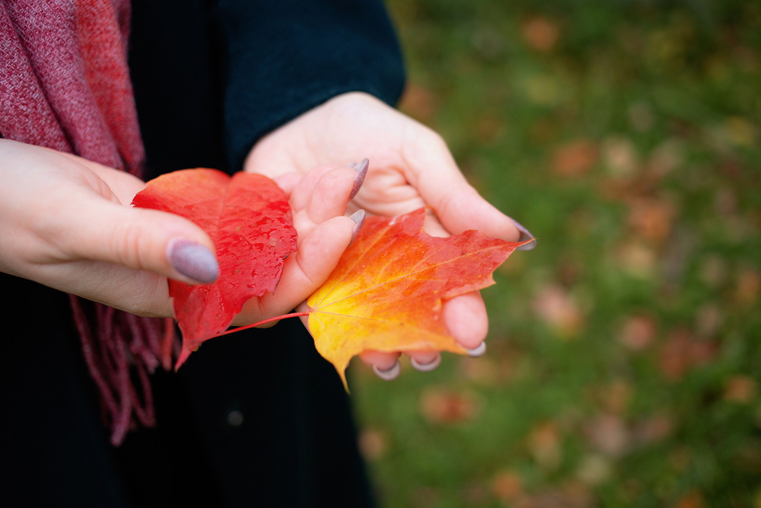 Фотосессия в уютном кафе и парке СПб, осенняя фотопрогулка. Портретные фотосессии, контент-съемки, репортаж