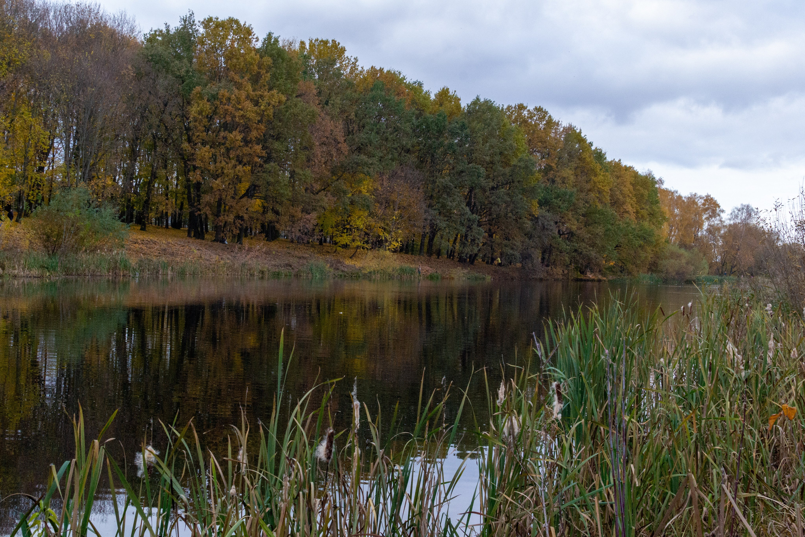 Старенький Nikon 3100 и nikkor 35 mm 1.8 (фото проявленные из RAW-NEF файлов). Фотограф в Туле Крупский АнДРей. Фотостудия «КАДР71» в Туле