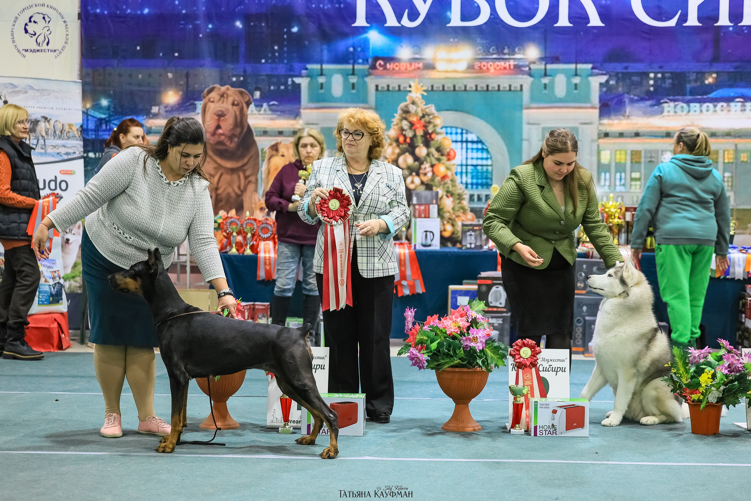 6-7.12.25 — 1-4 Национальные выставки собак в Новосибирске (2х рейтинговые). Фотограф Анималист из Новосибирска Татьяна Кауфман