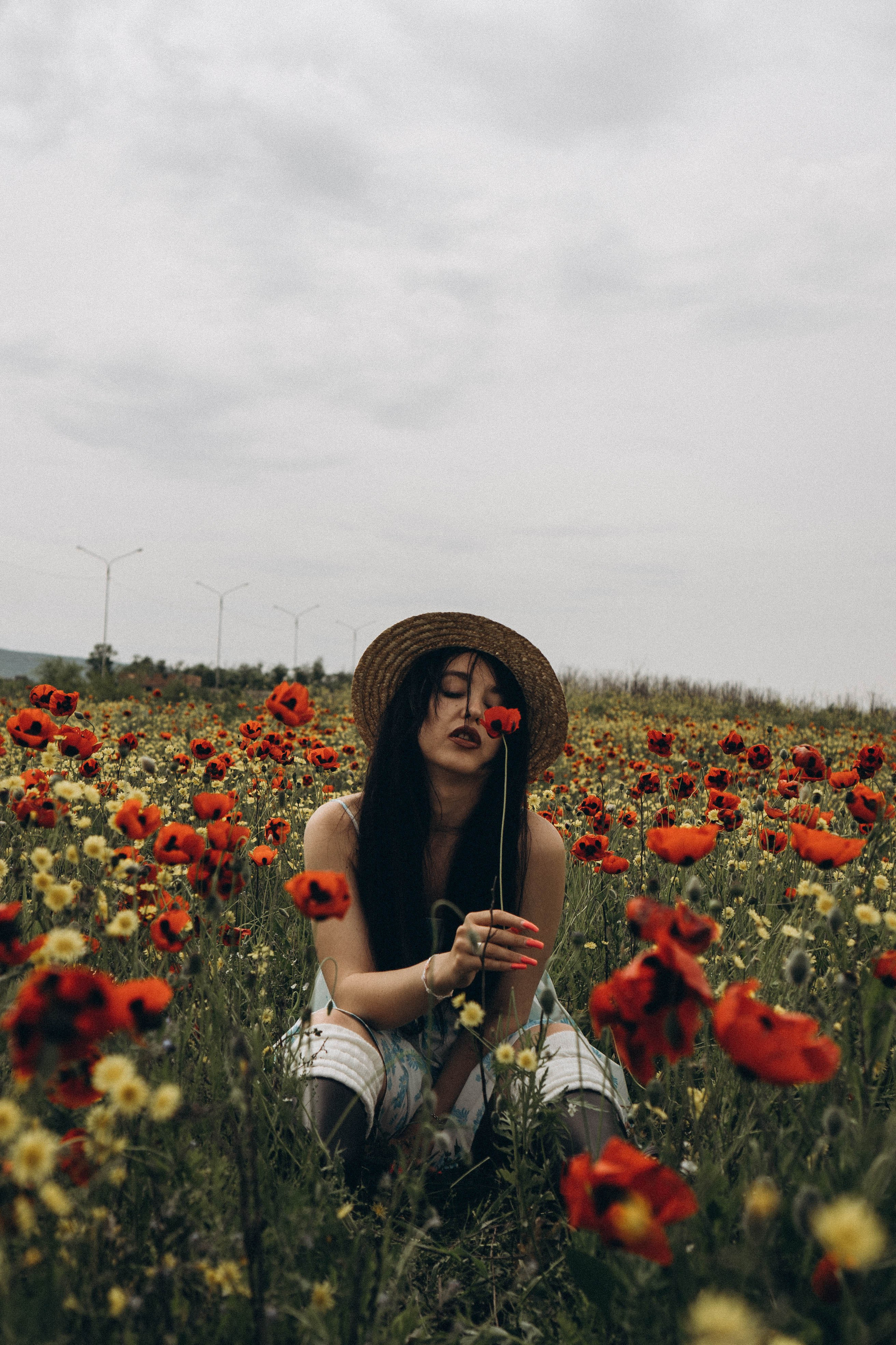 Цветочная поляна. Профессиональный фотограф, Санкт-Петербург — Виктория Богомолова