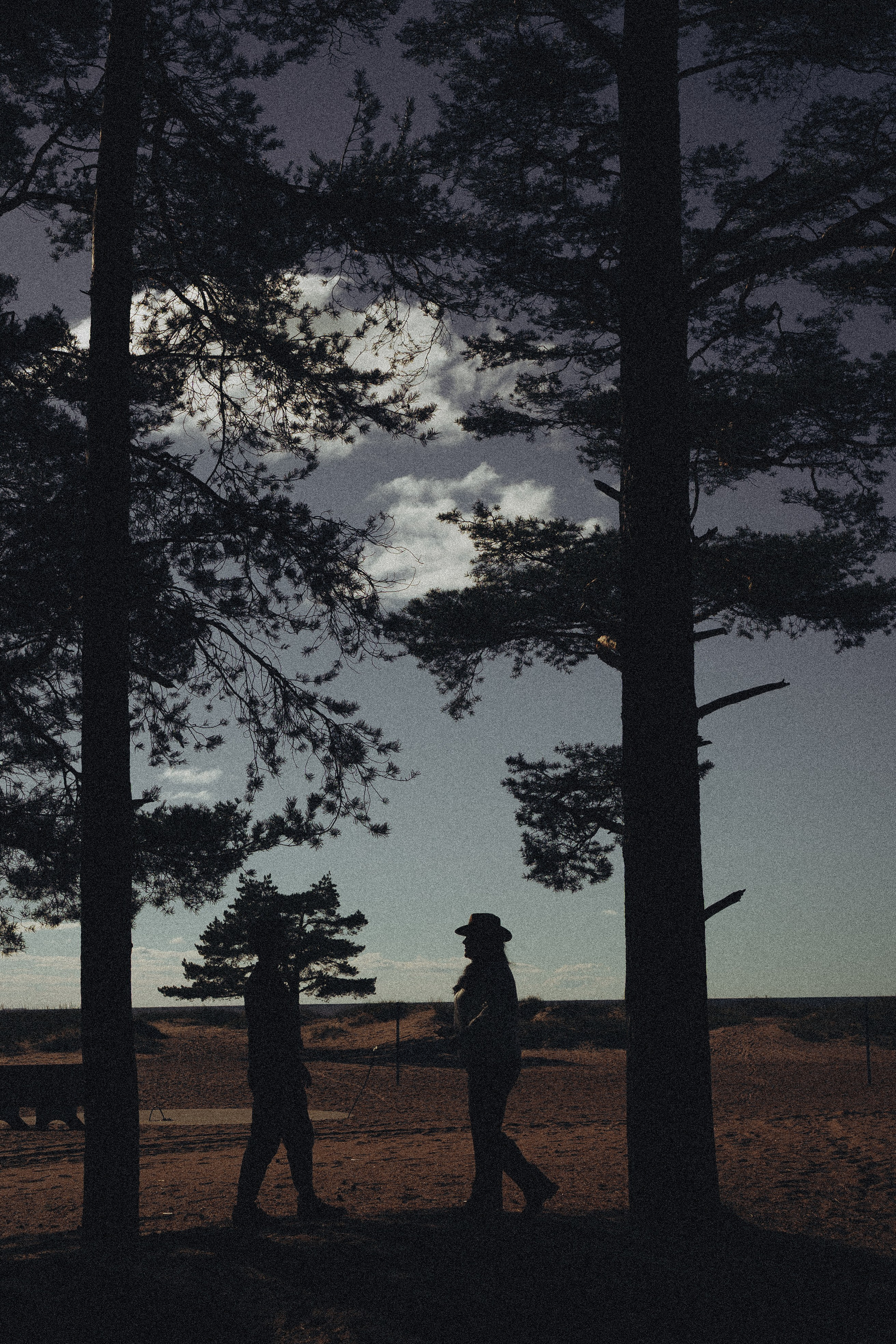 Прогулка по Финскому заливу. Профессиональный фотограф, Санкт-Петербург — Виктория Богомолова