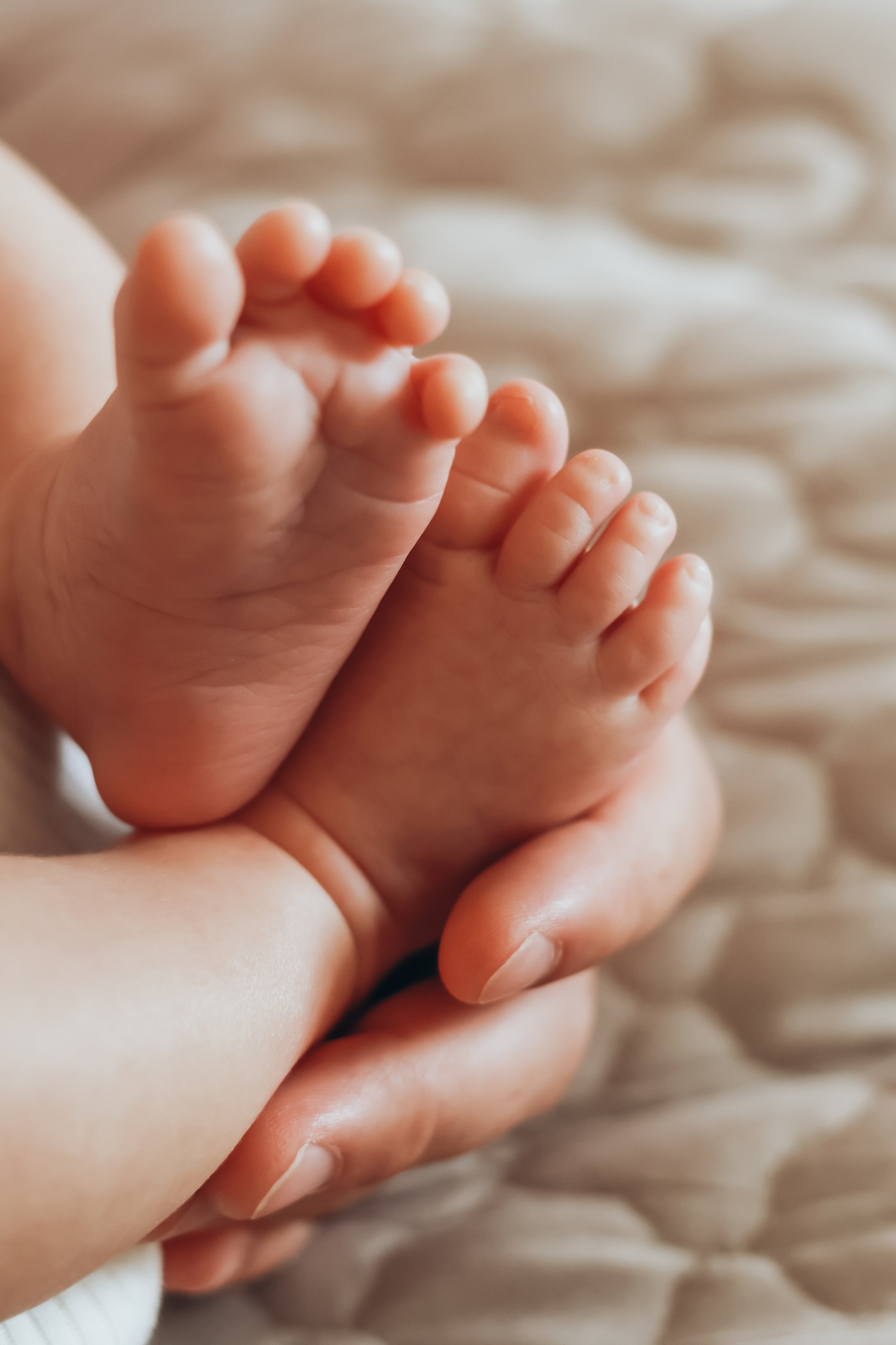 Домашняя семейная фотосессия с новорожденным. Фотограф в Екатеринбурге Пойгина Елена