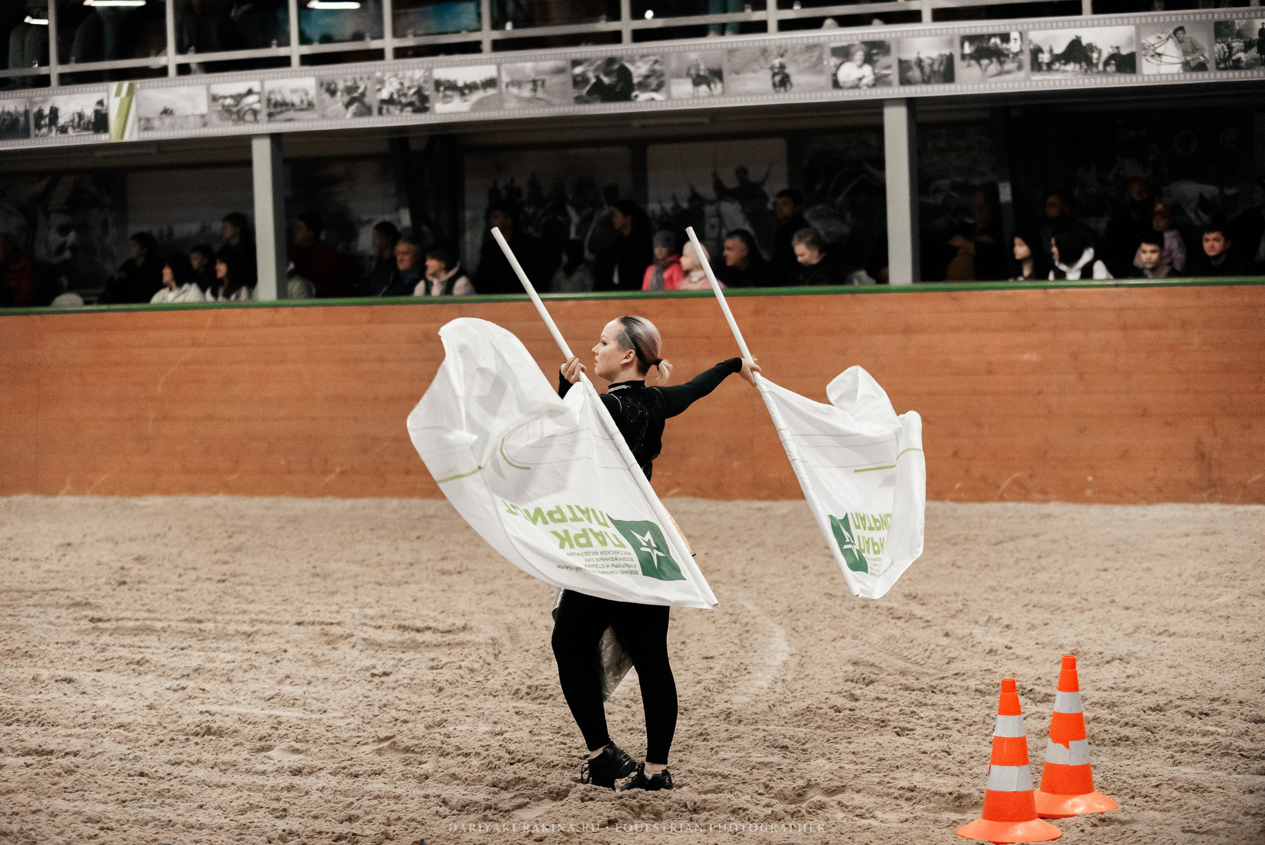 Конное представление «Дыхание Звёзд». Конный фотограф Куракина Дарья • Фотосессии с лошадьми