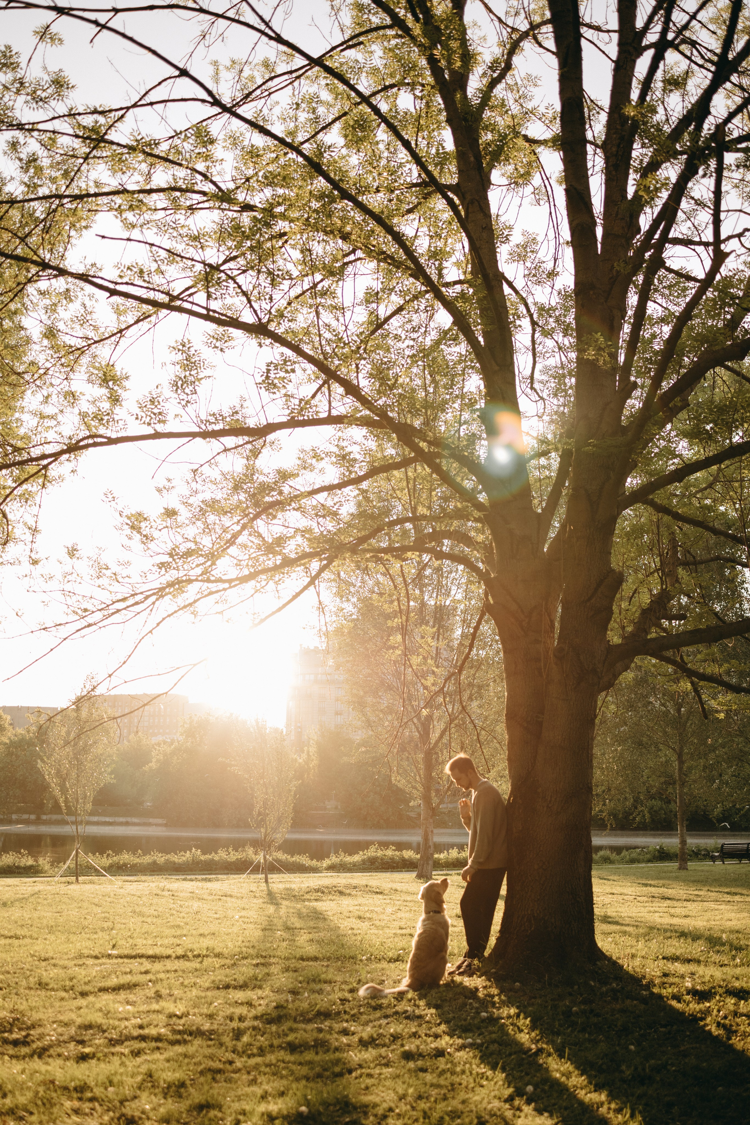 Пенни и ребята. Фотограф — Анималист | Санкт-Петербург
