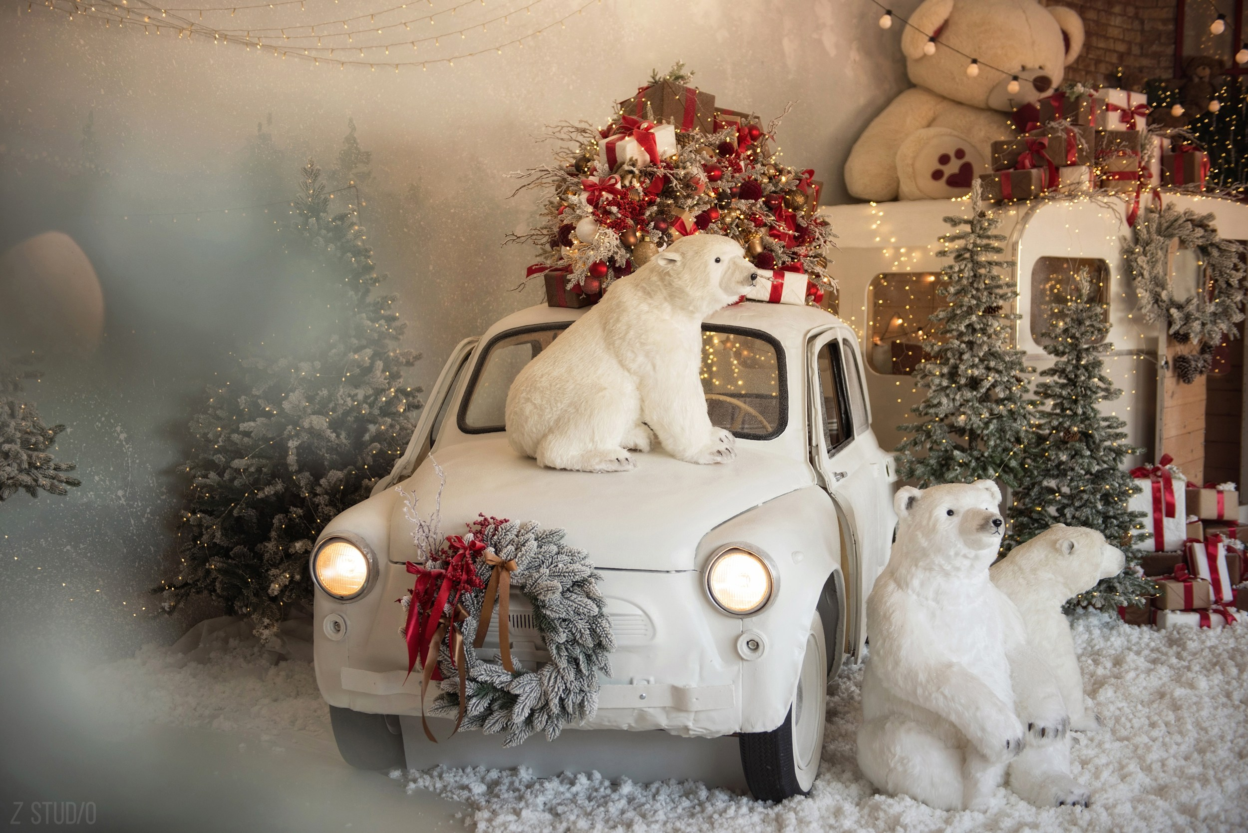 Новогодняя фотосессия в Новосибирске. Фотограф Универсал в Новосибирске