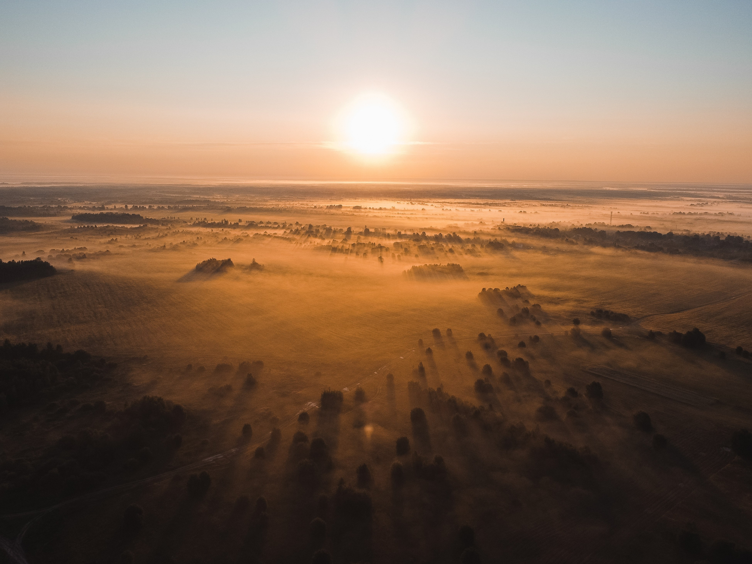 Поле, ранее утро, рассвет, туман