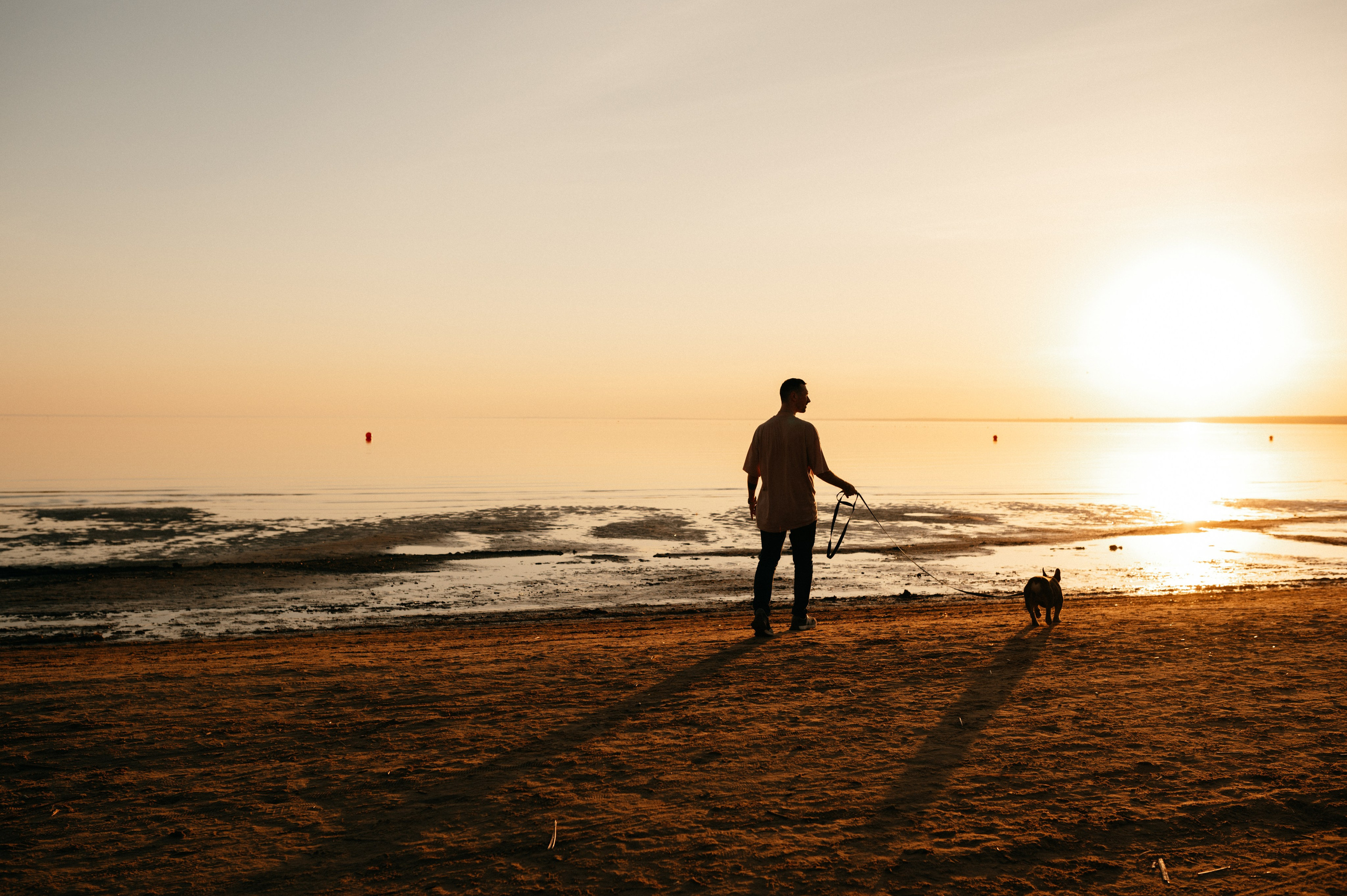 Коля и Бакс. Фотограф анималист в Москве Ольга Агушева