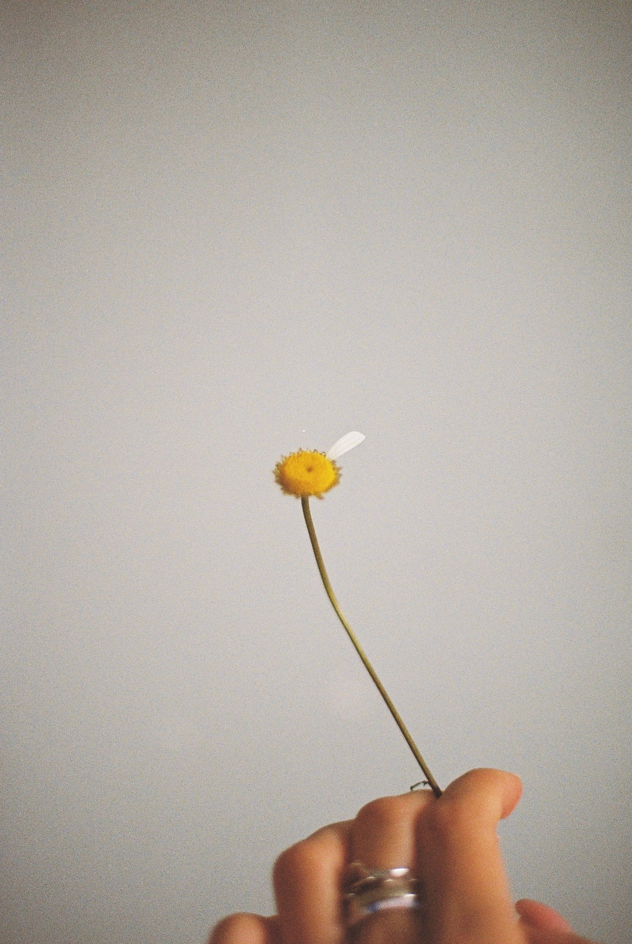 Всякие картинки