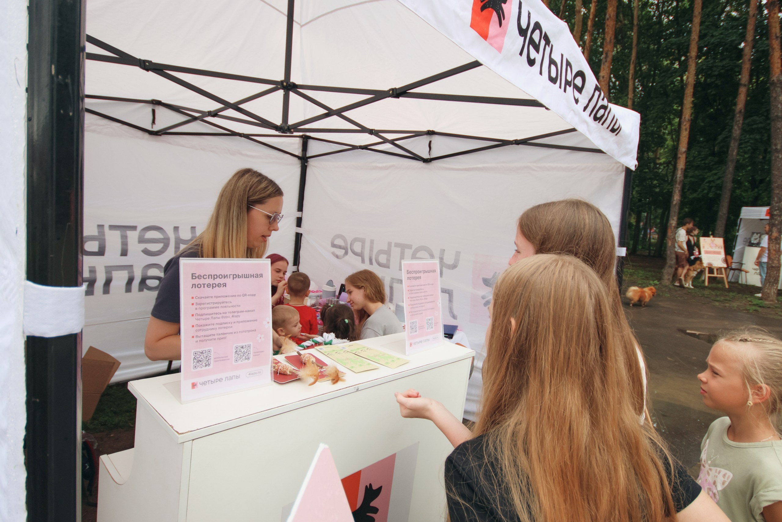 Четыре Лапы. Свадебный и репортажный фотограф Дмитрий Кононенко