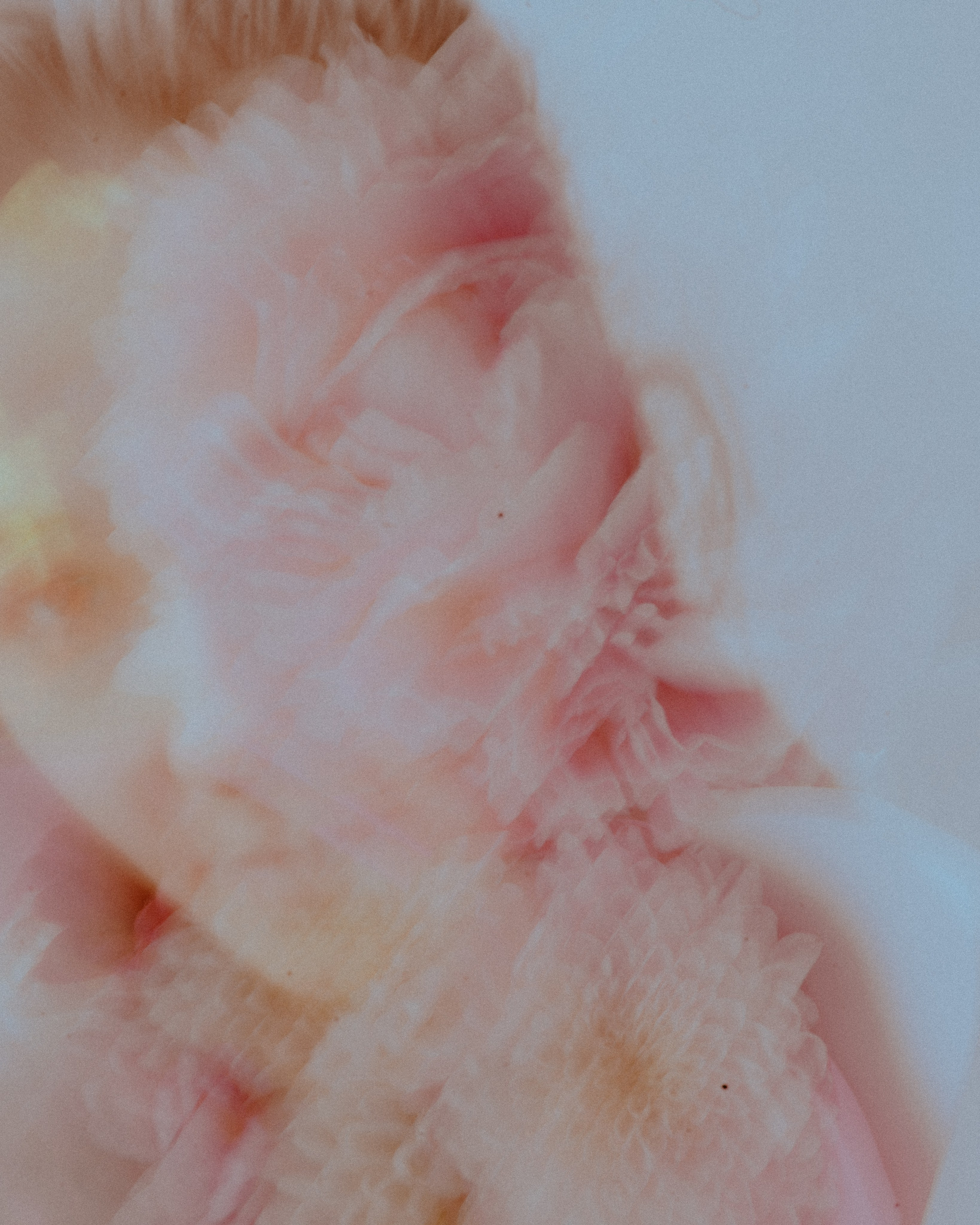 HELLO LIGHT. Uvaliss | Alice Feer