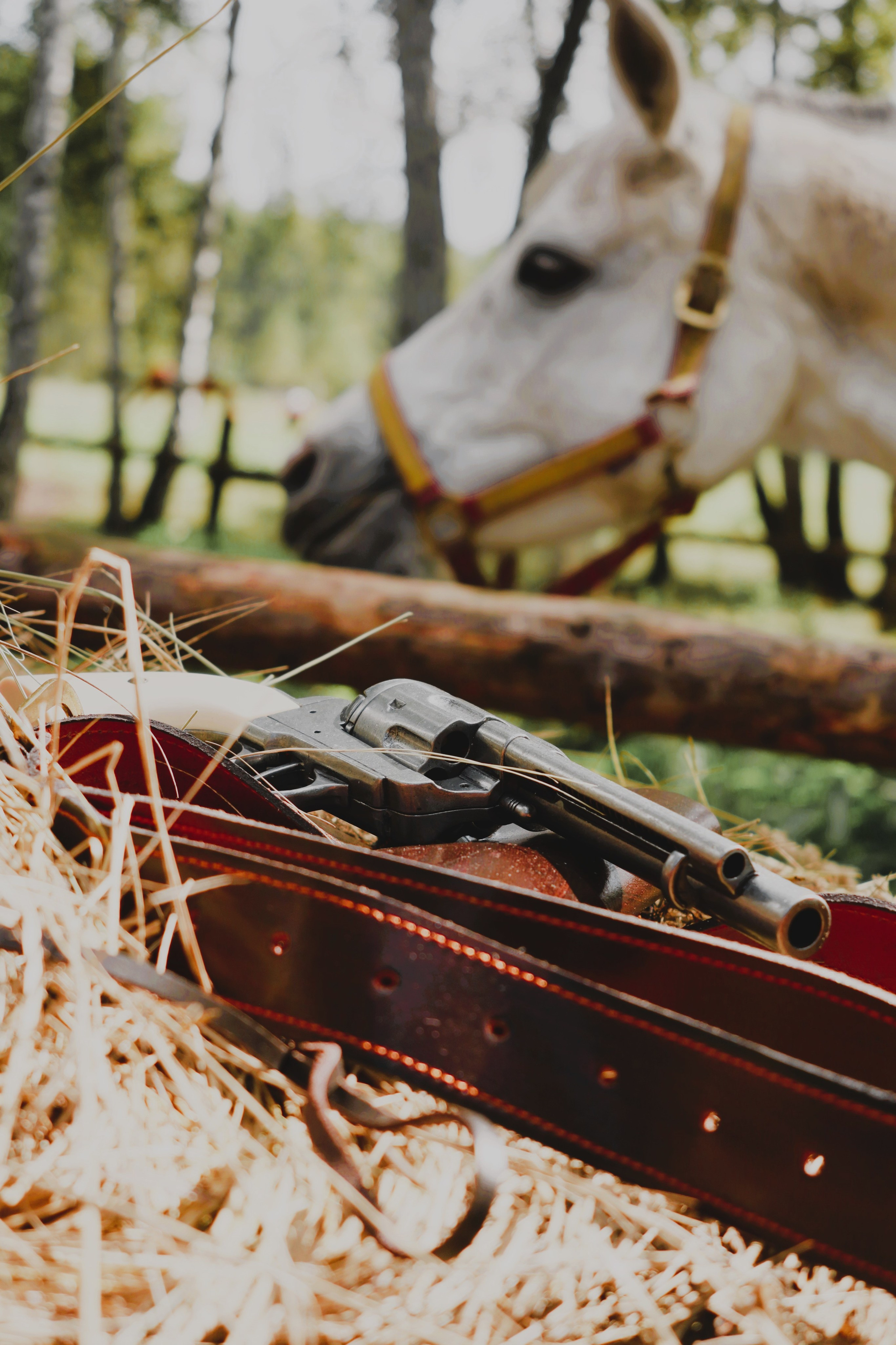 Галерея. Фотохудожник Светлана Финадеева. Челябинск