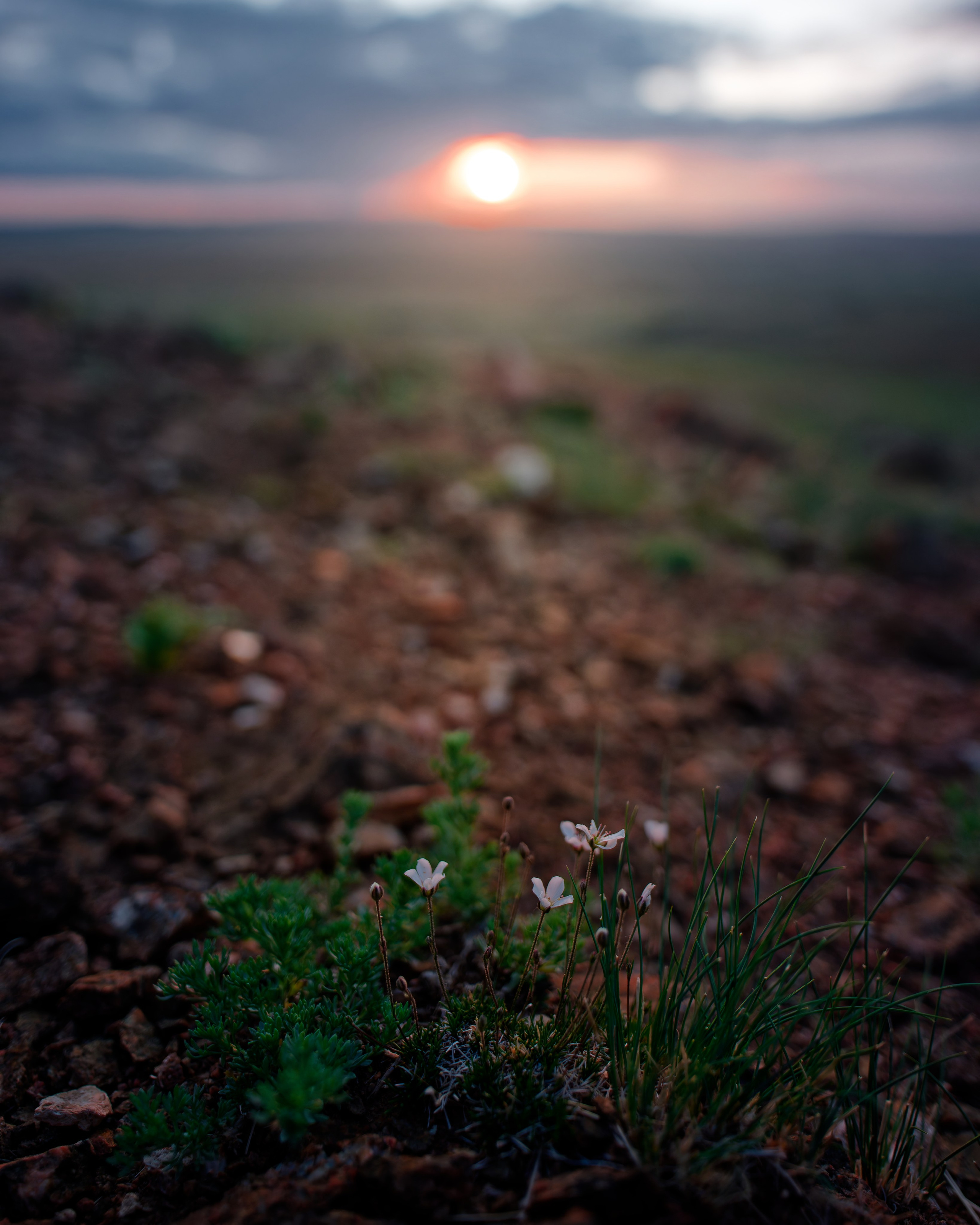 Экспедиция в Монголию (Гоби). Семоха Валерий. Фотограф