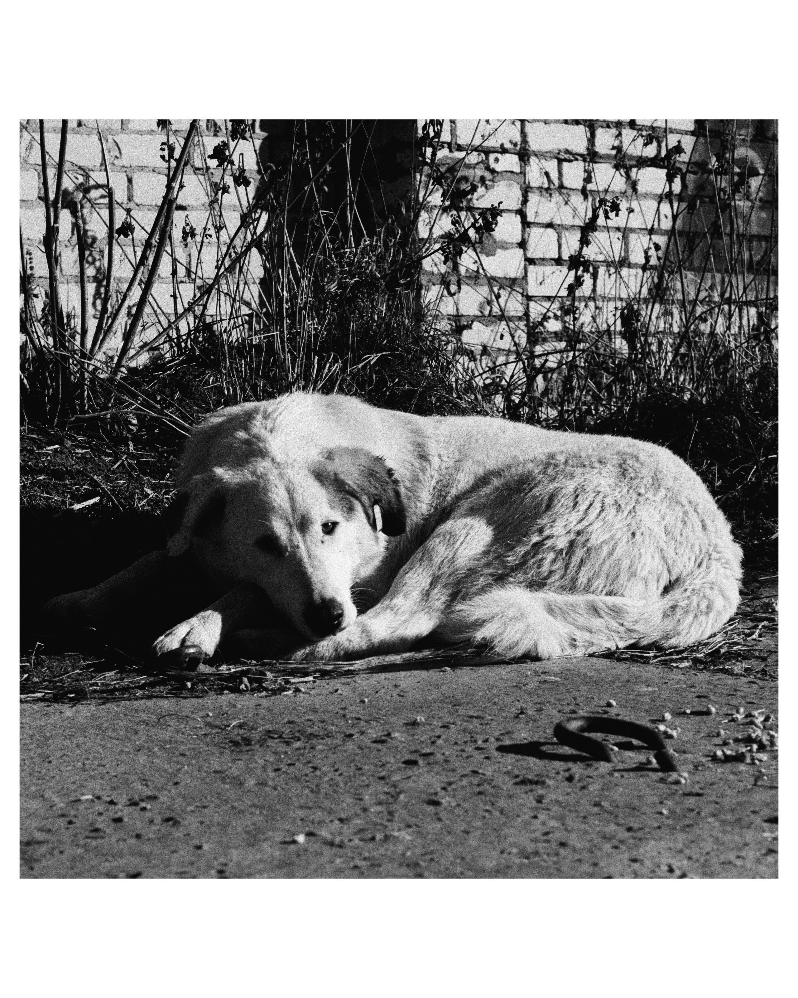 KALUGA. ANNA — PHOTOGRAPHER