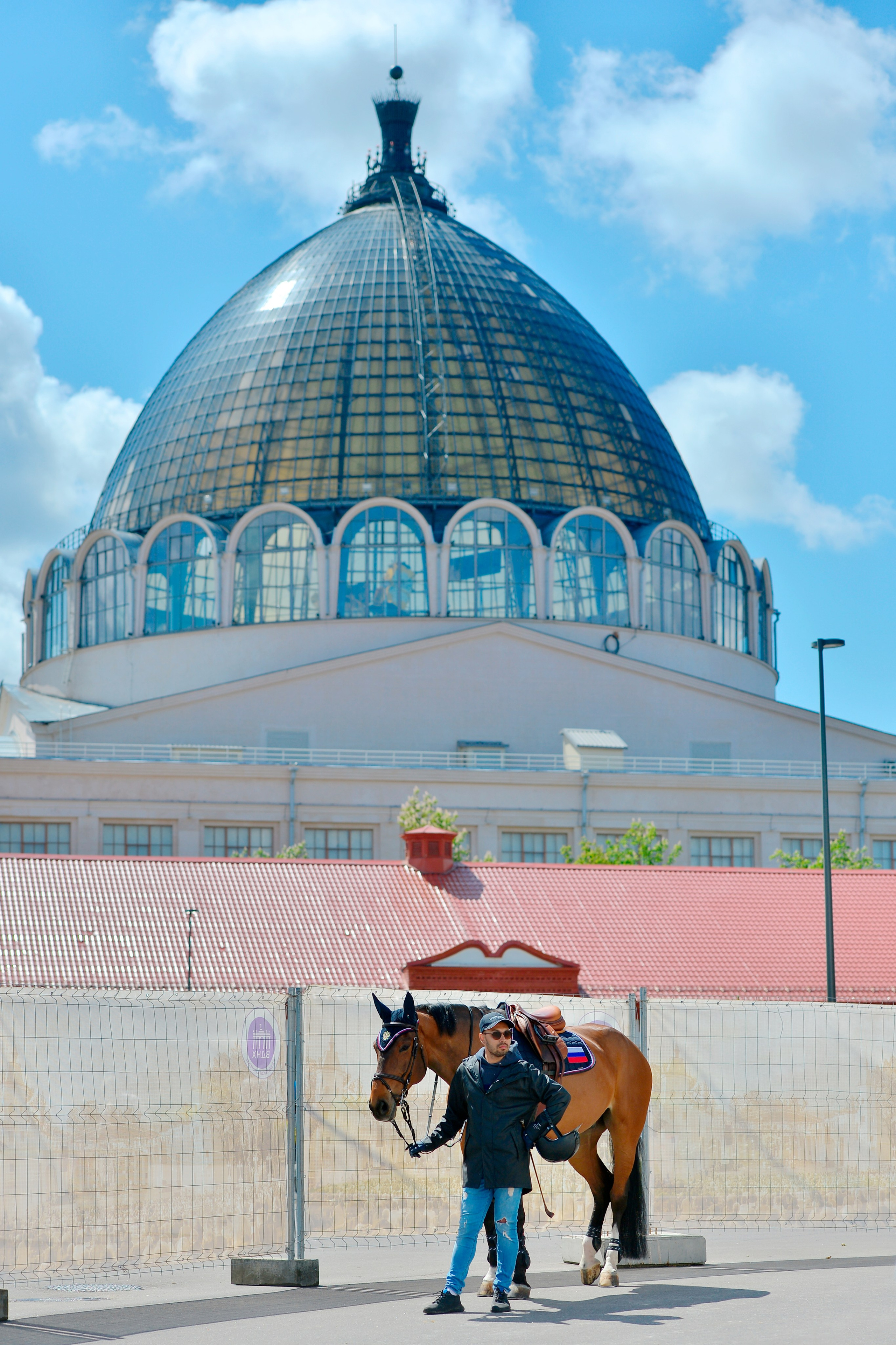 Репортаж Bitriver. Конный фотограф Alesya Safe