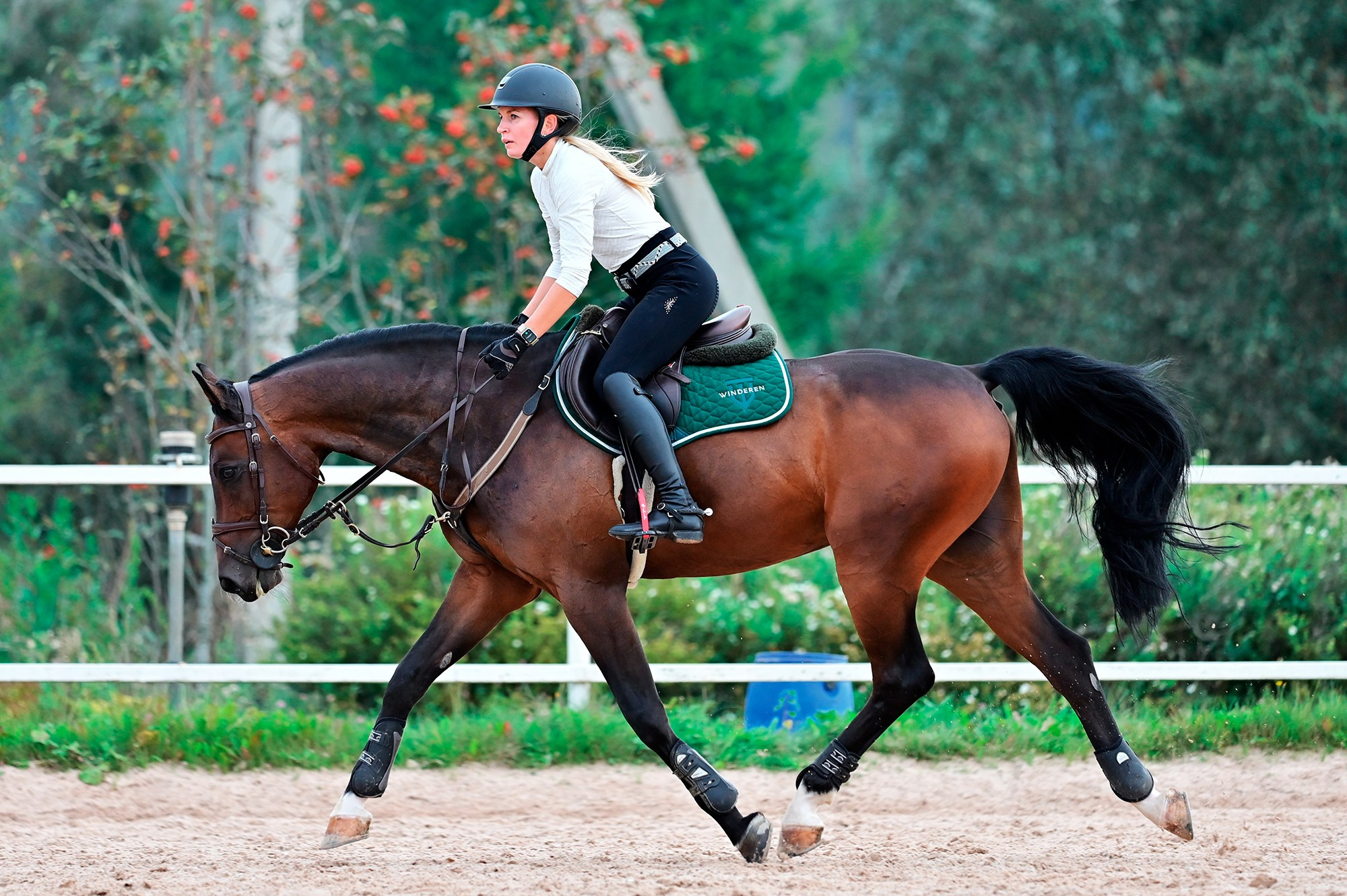 Тренировки. Конный фотограф Alesya Safe