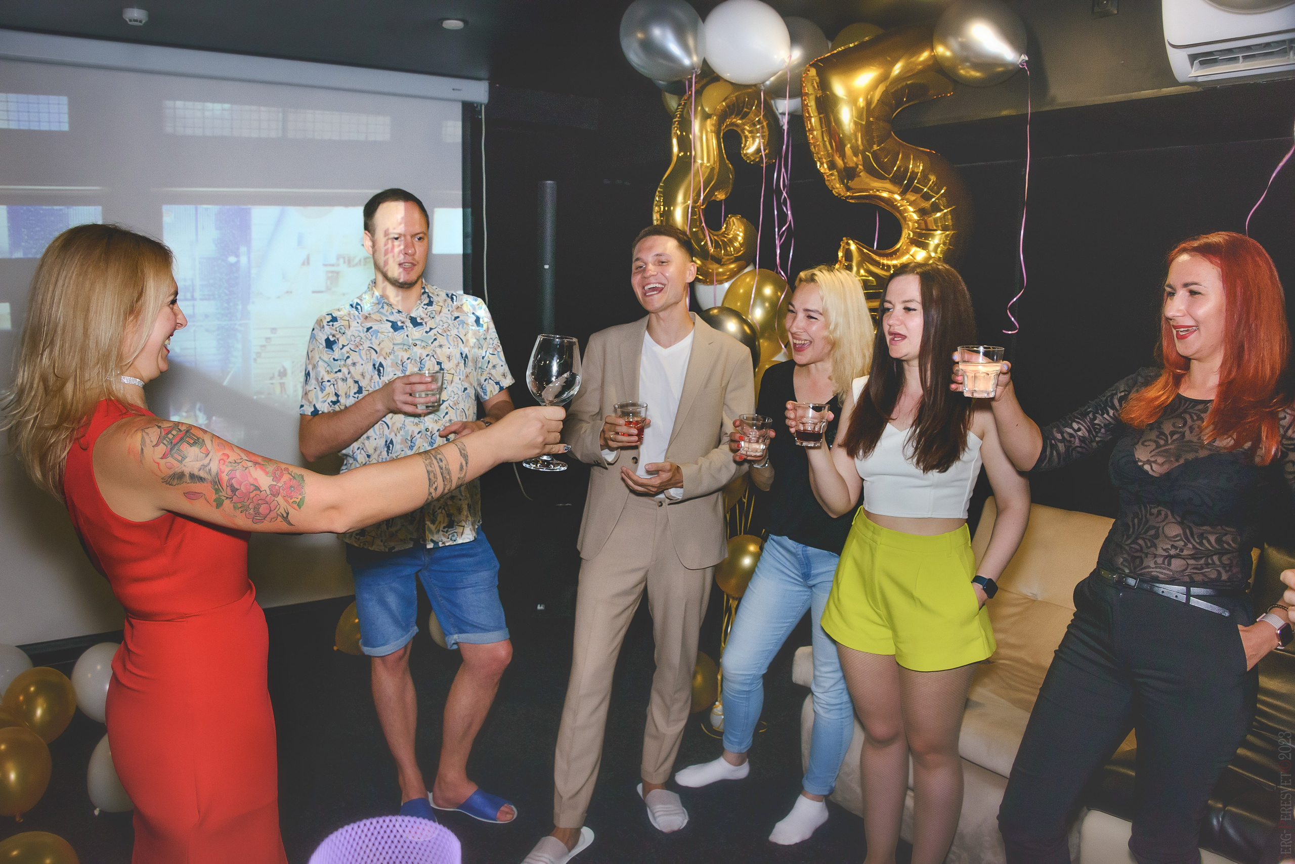 День рождения — Караоке клуб. Ваш фотограф на праздник в Москве, Раменском, Жуковском, Люберцах